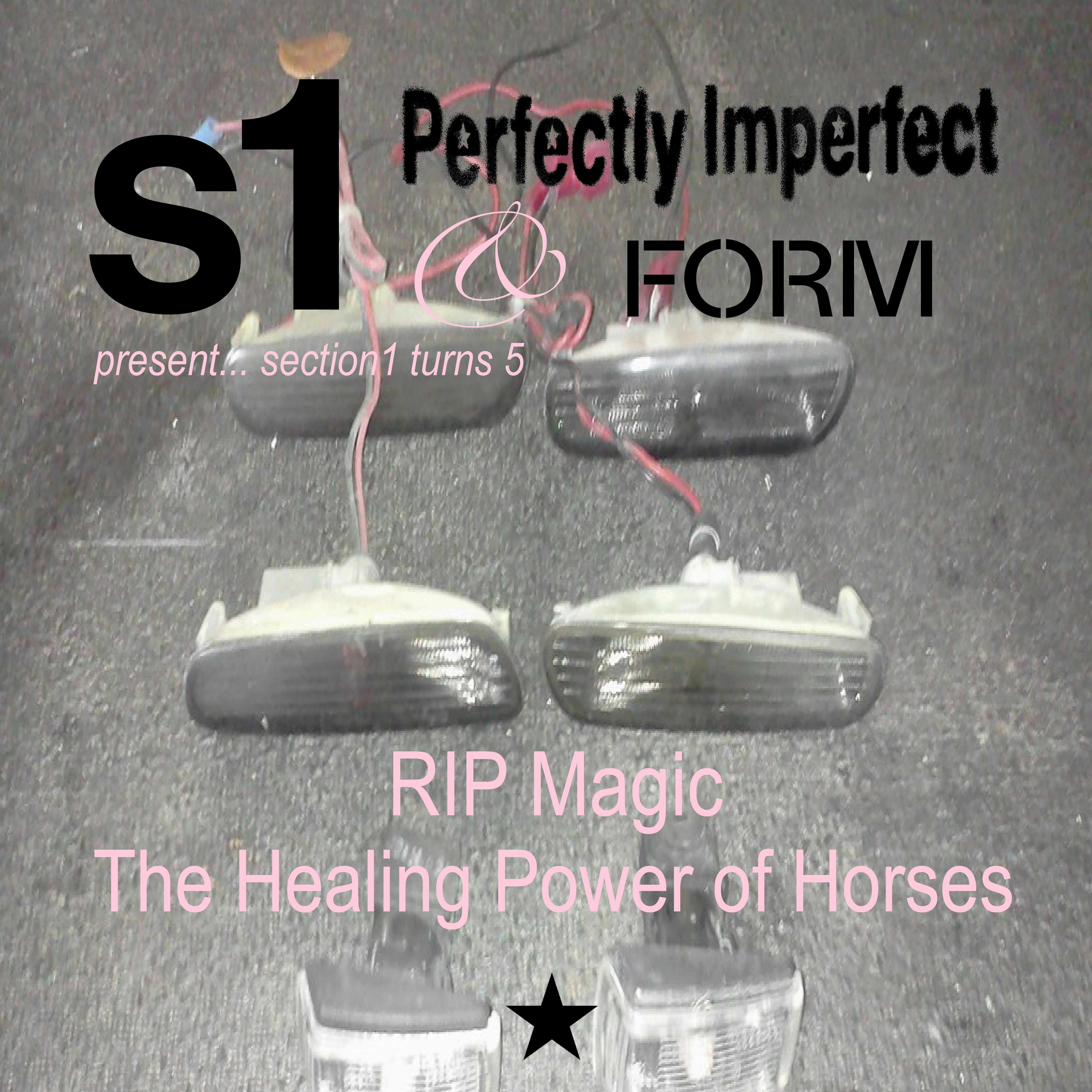 RIP Magic and The Healing Power of Horses