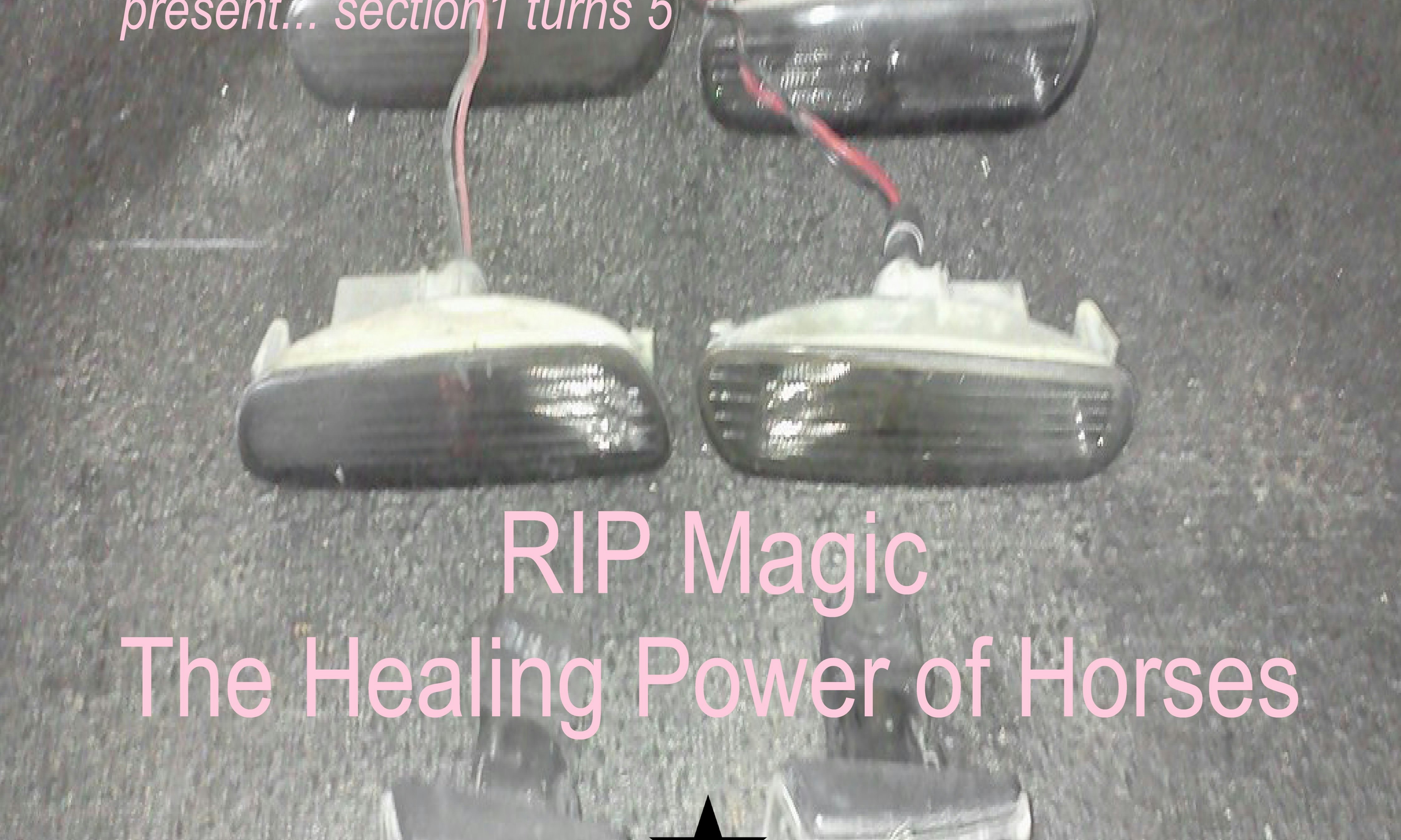 RIP Magic and The Healing Power of Horses