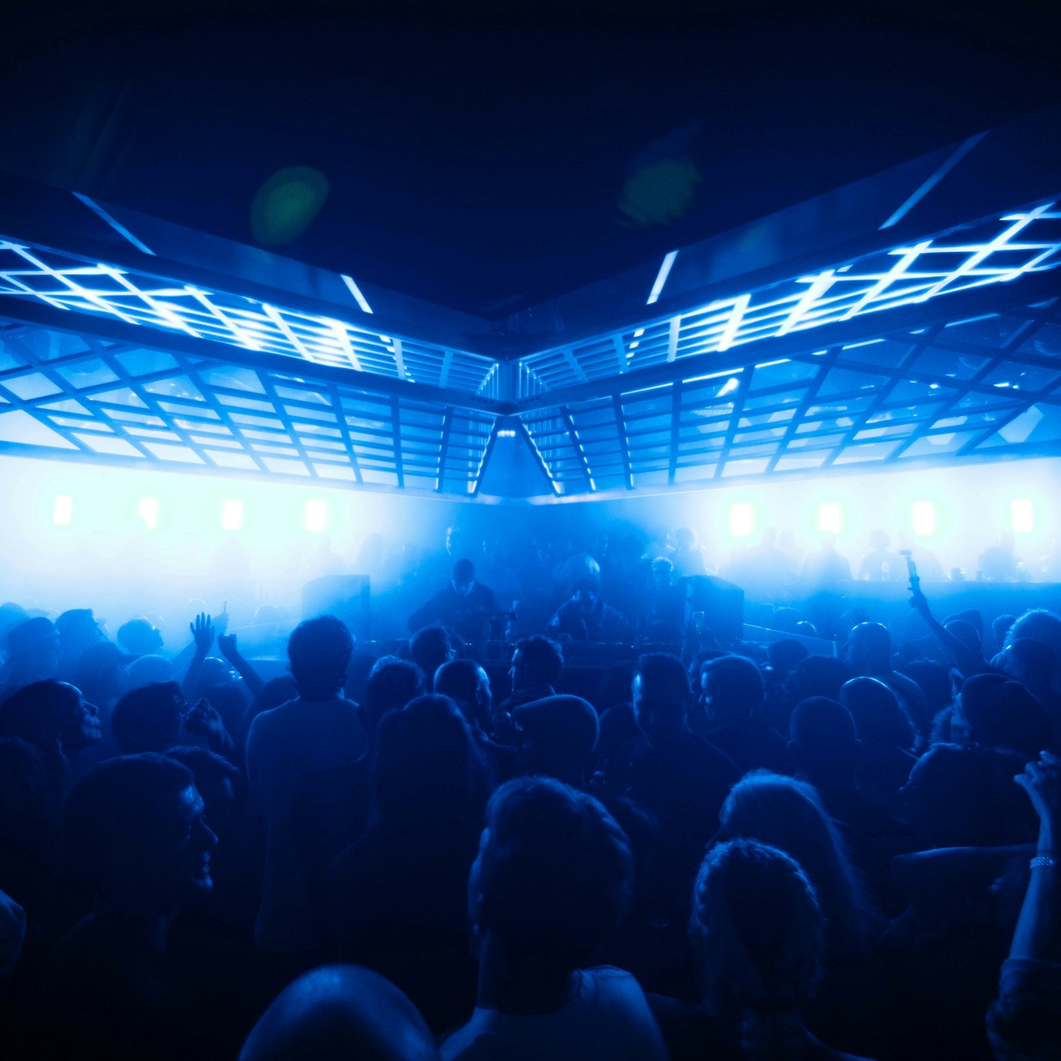 REINIER ZONNEVELD & MORE