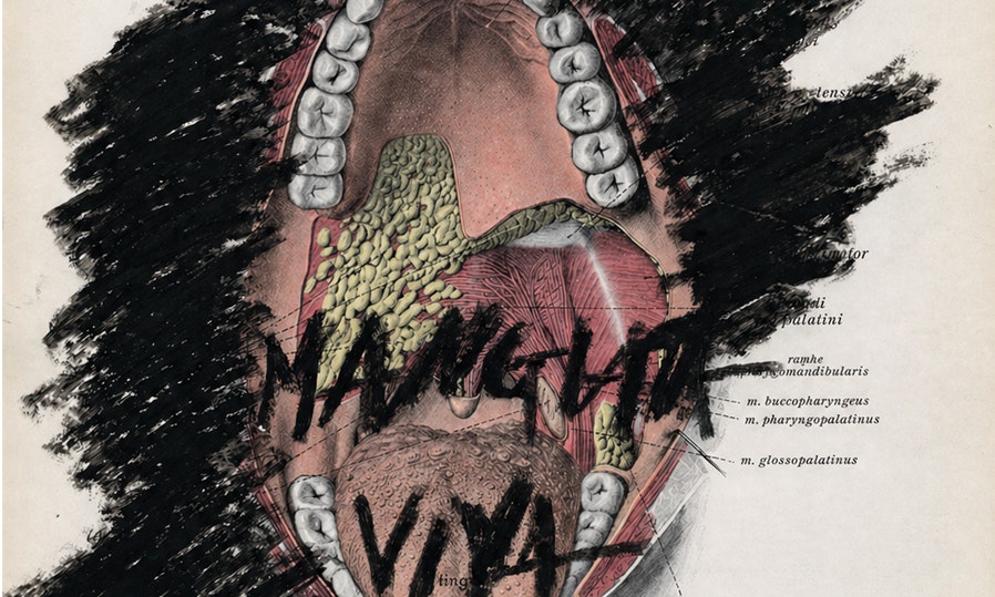 MANGIATA VIVA | Reverie