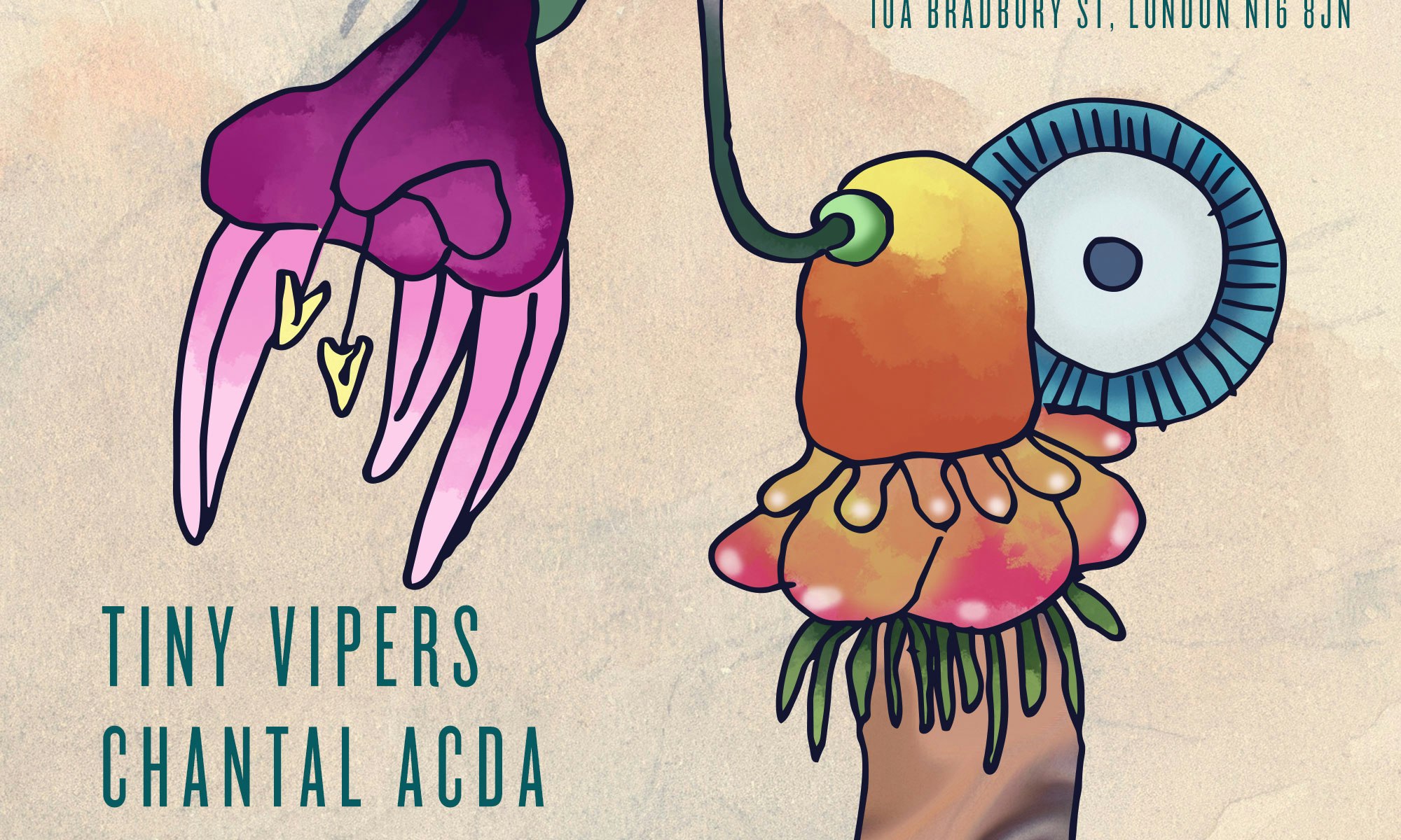 Tiny Vipers + Chantal Acda + Red River Dialect