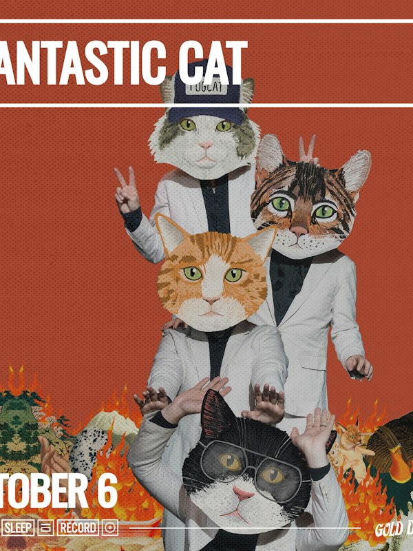 Fantastic Cat, Matt Sucich