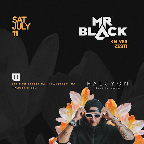 Mr. Black at Halcyon SF
