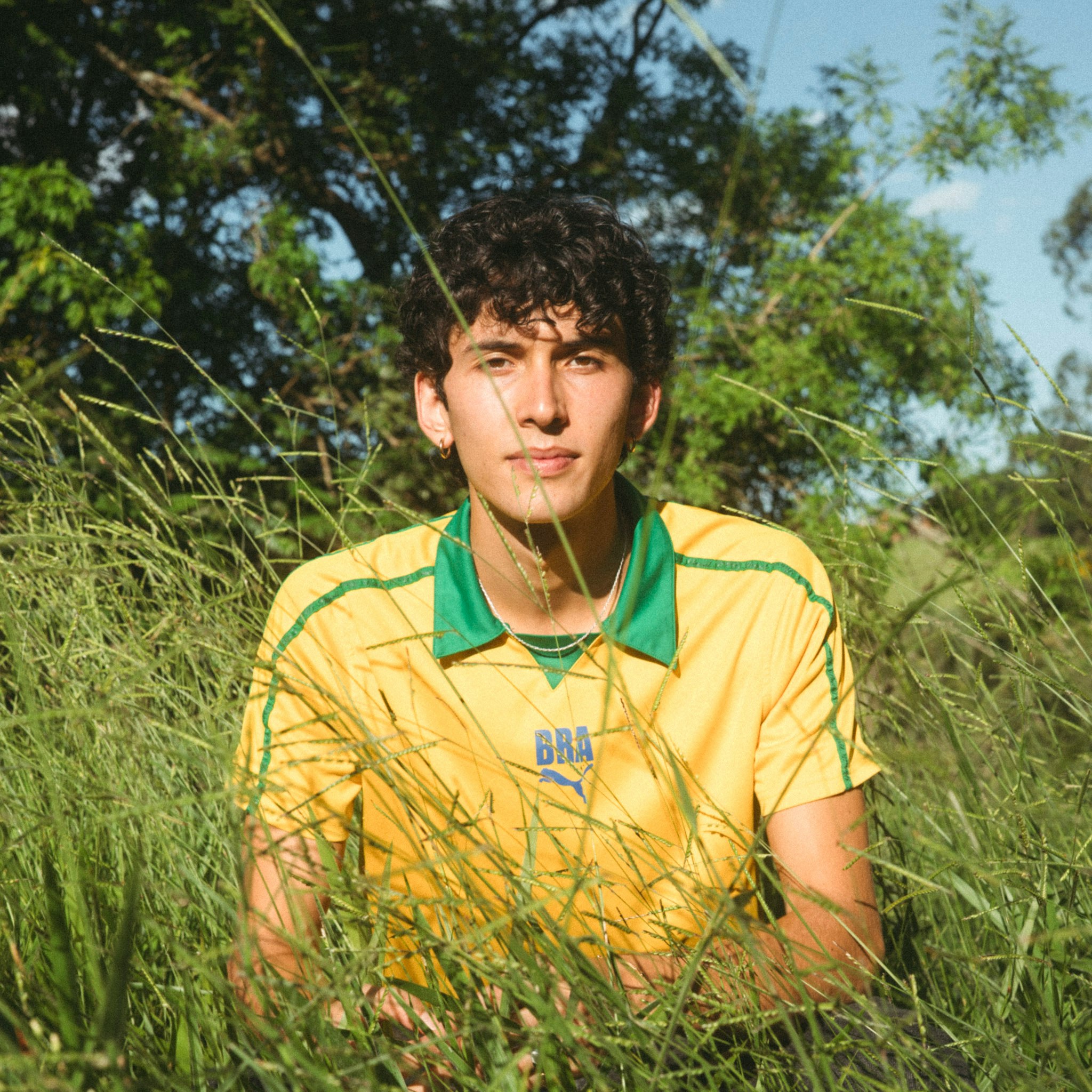 Tom Ribeira