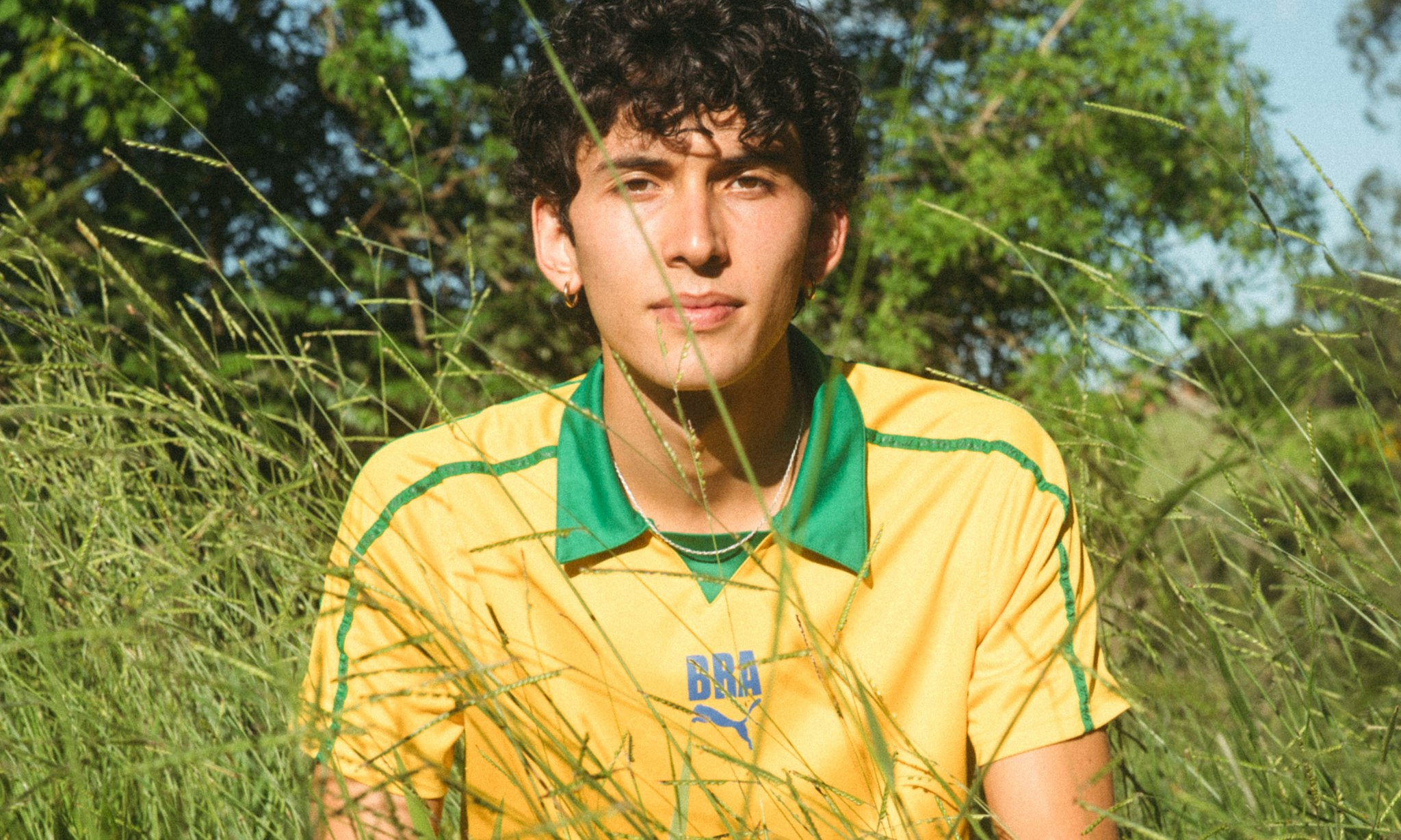 Tom Ribeira