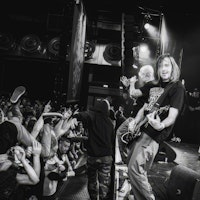 GORILLA BISCUITS