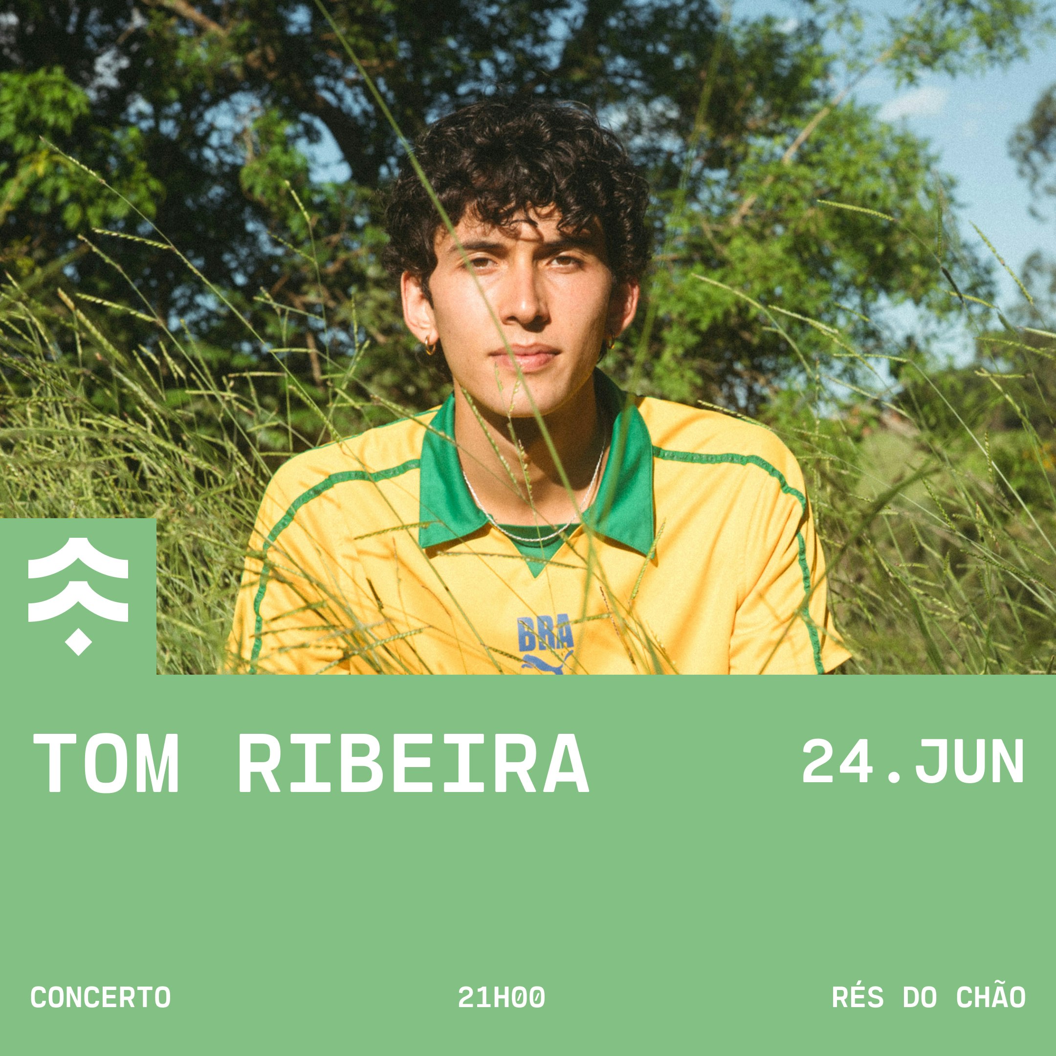 Tom Ribeira