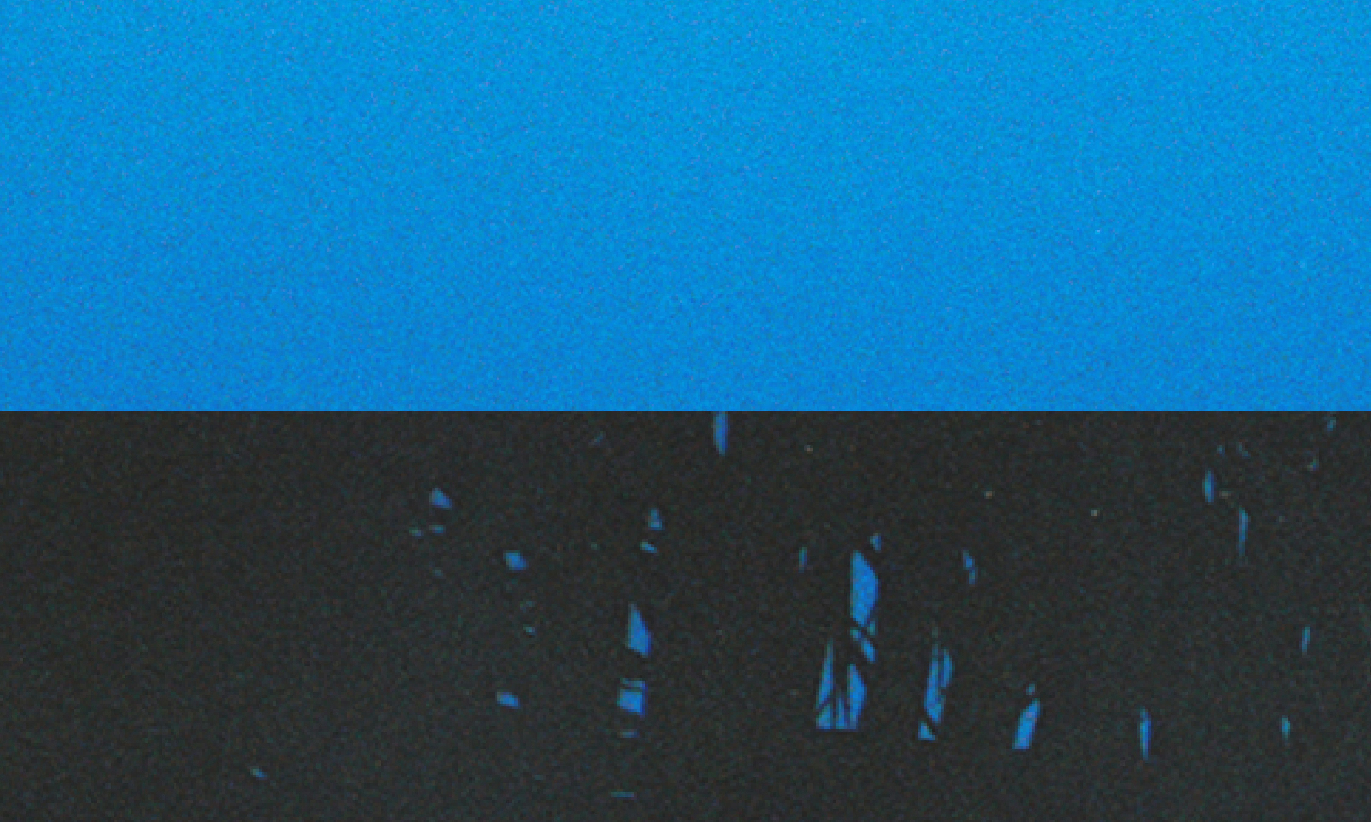 Shapes Day Party