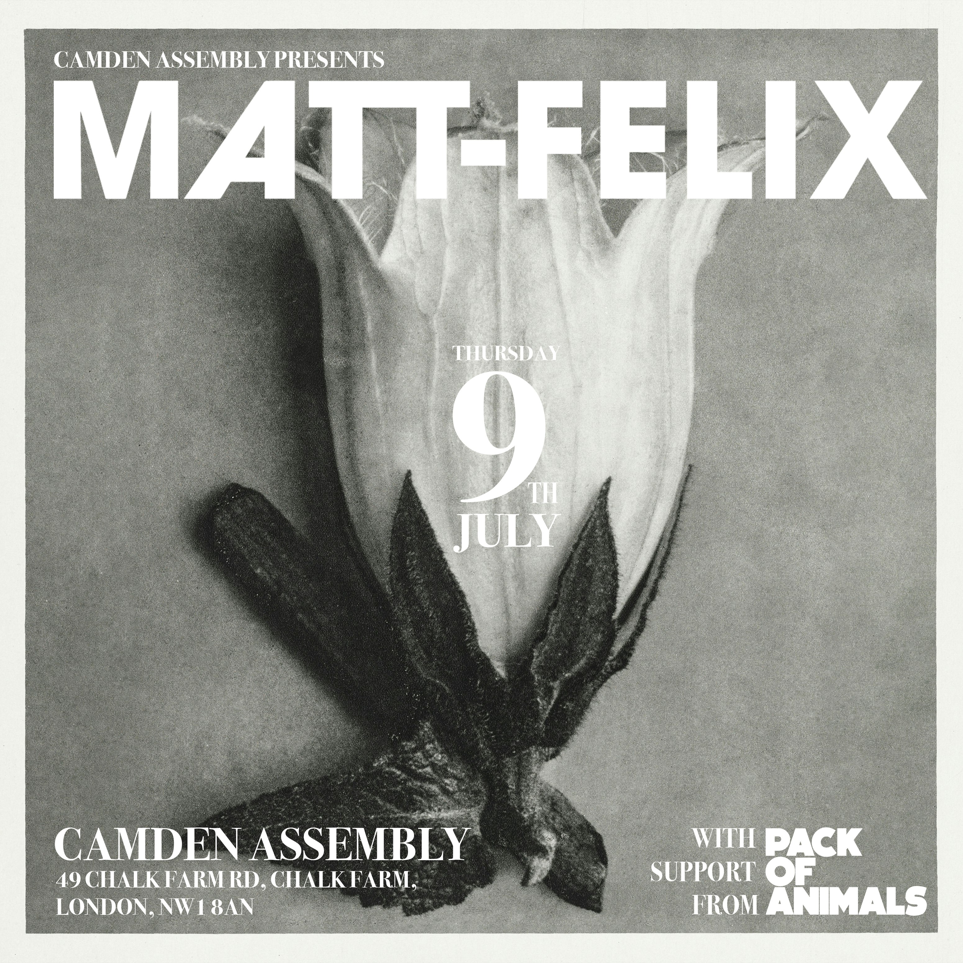 Matt-Felix