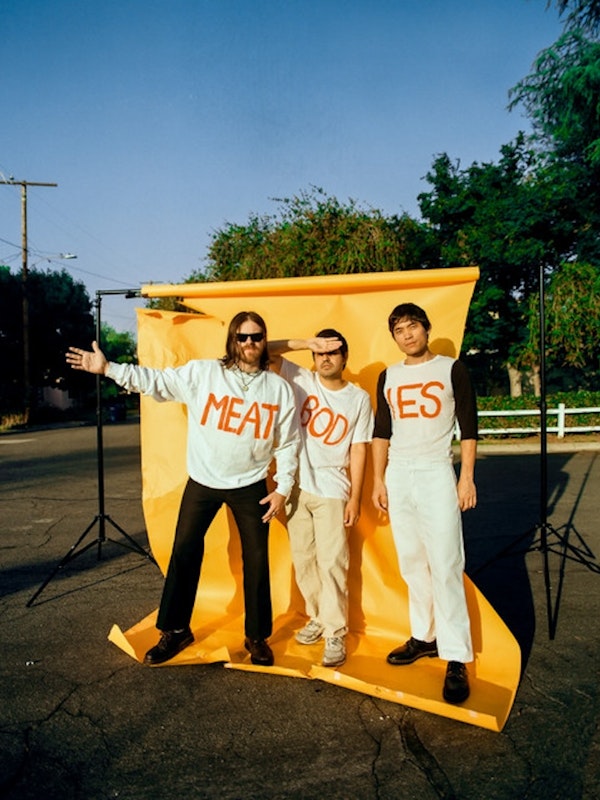 Meatbodies