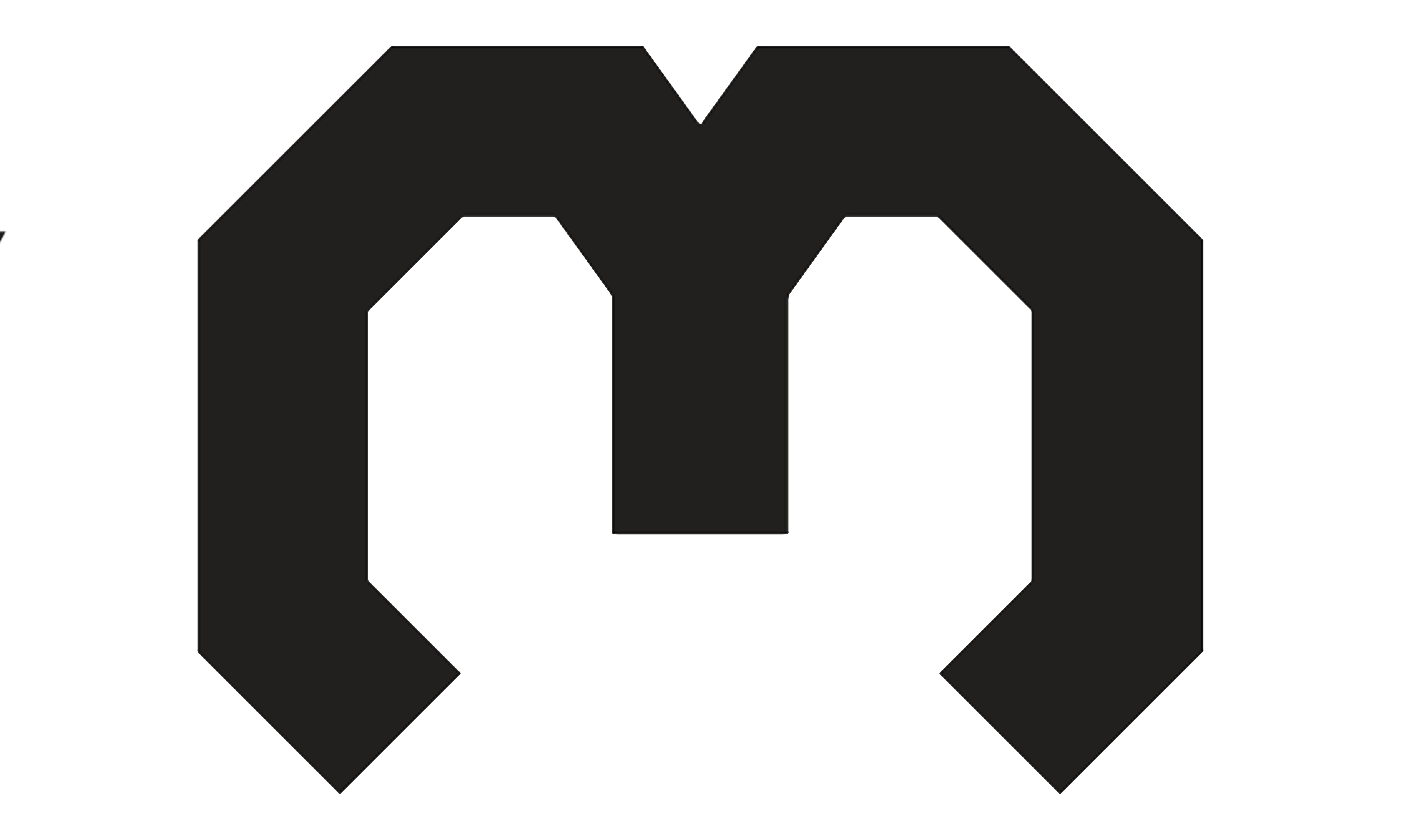 Maxxing