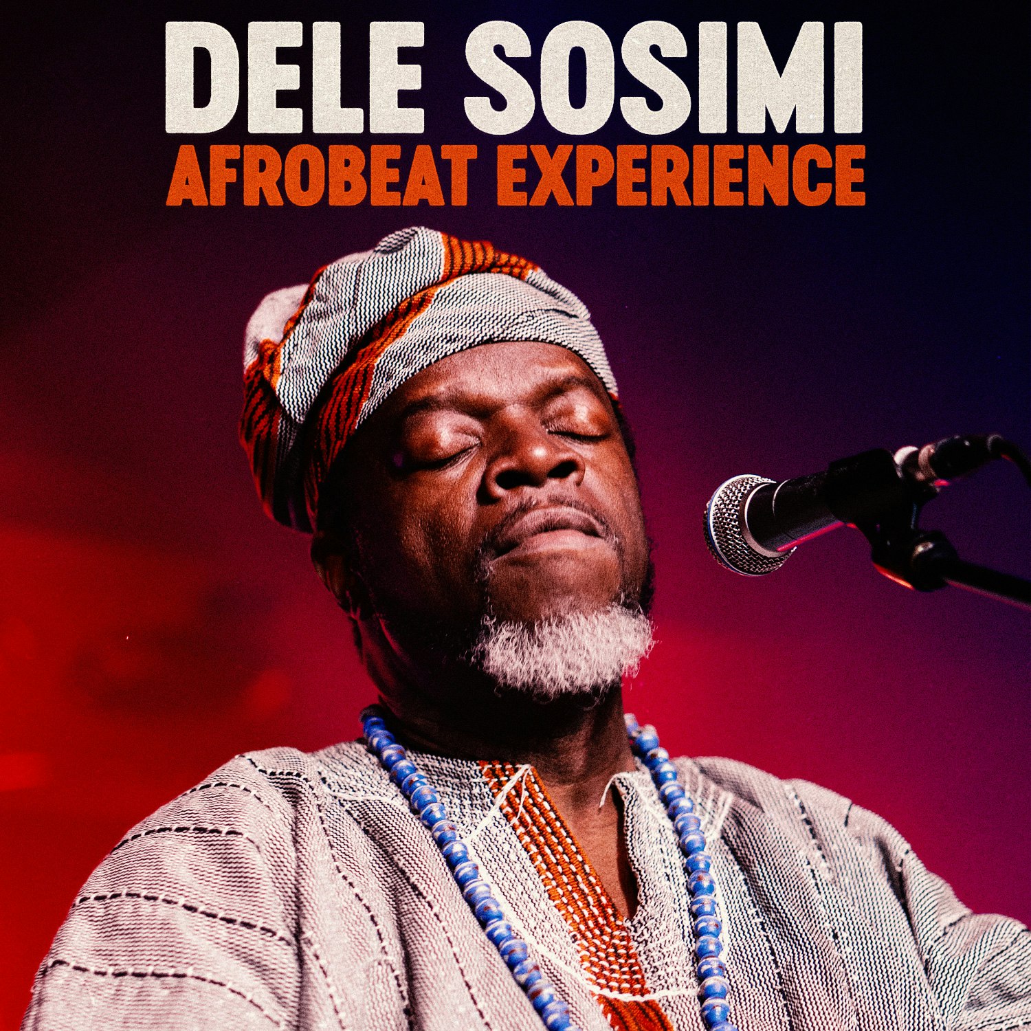 Dele Sosimi Afrobeat Experience