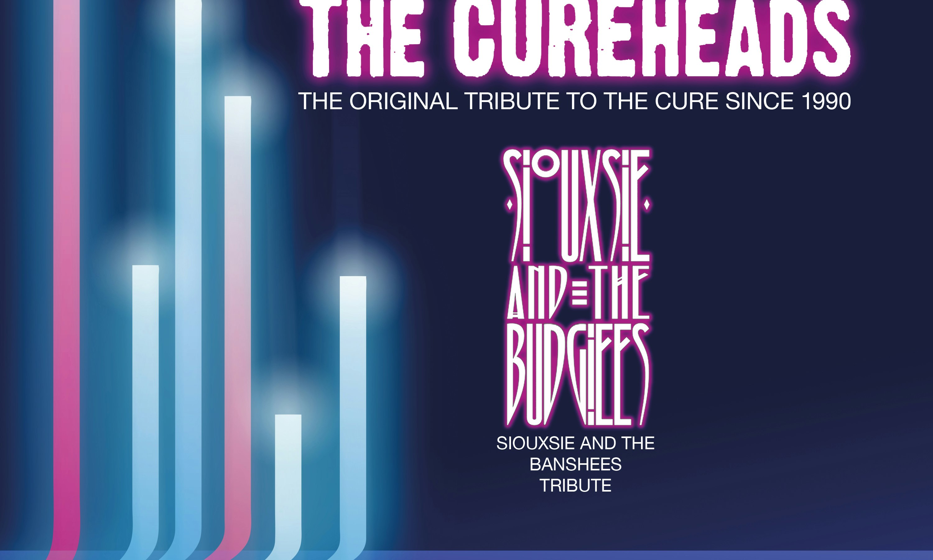 The Cureheads, Siouxsie & The Budgiees