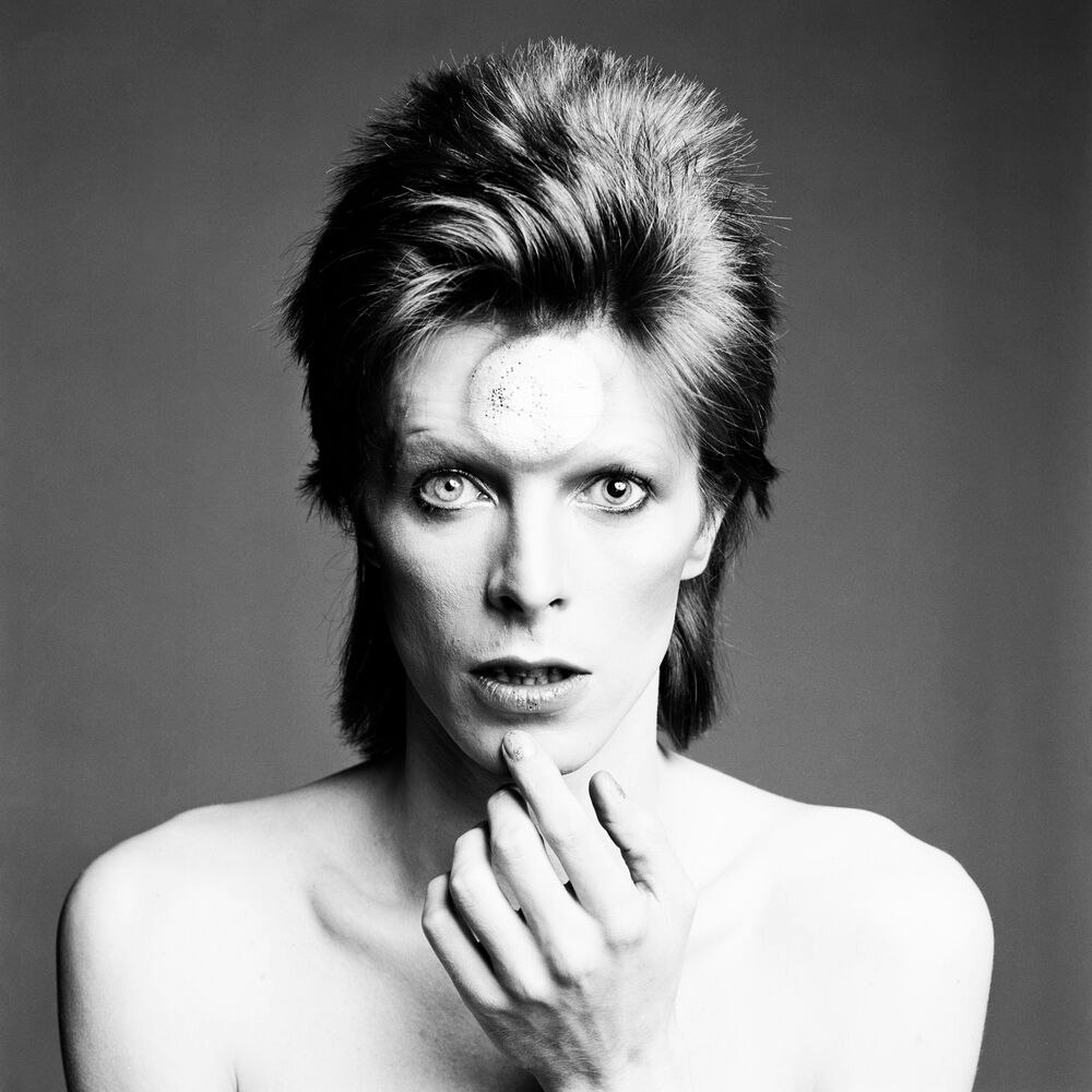 The Rise and Fall of Ziggy Stardust
