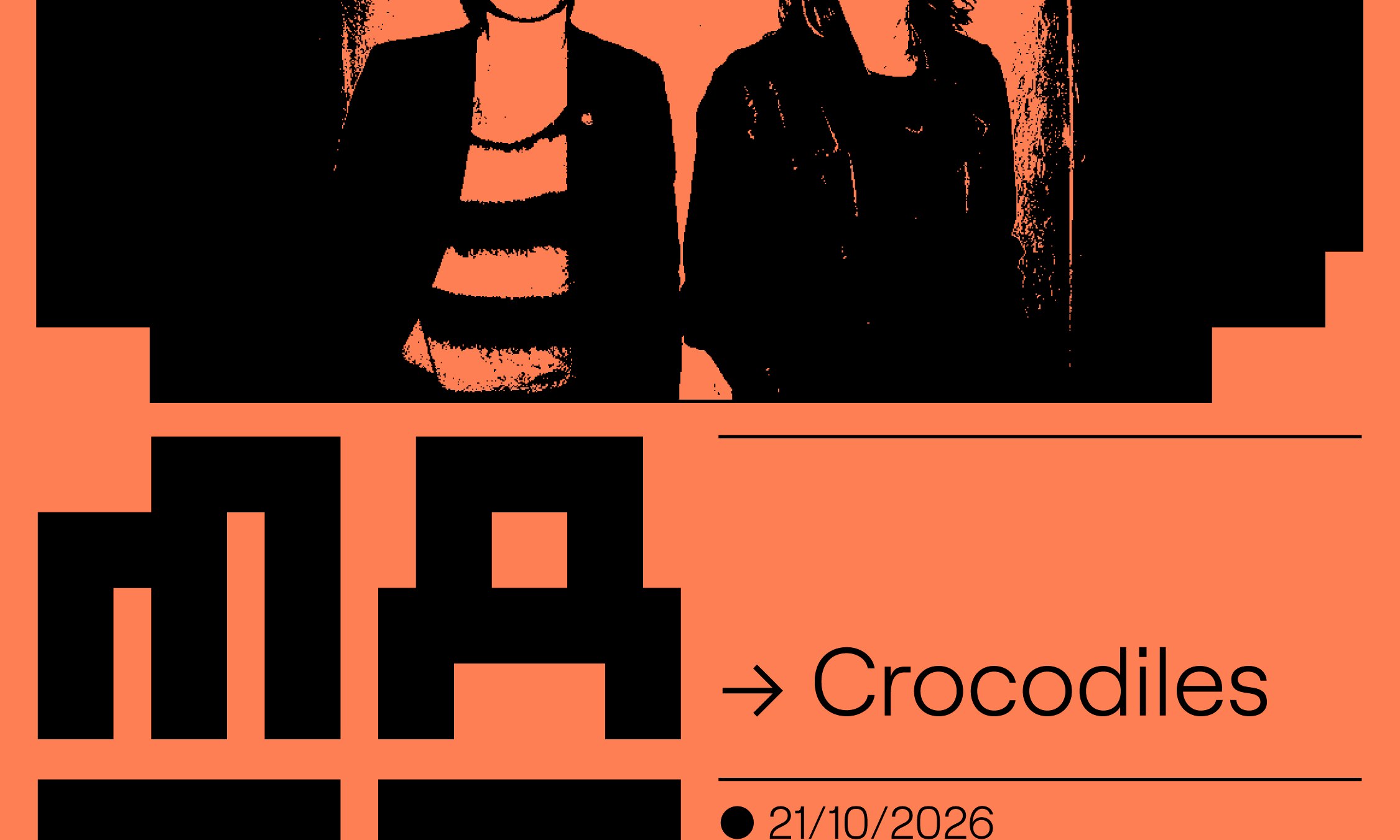 Crocodiles en MAZO
