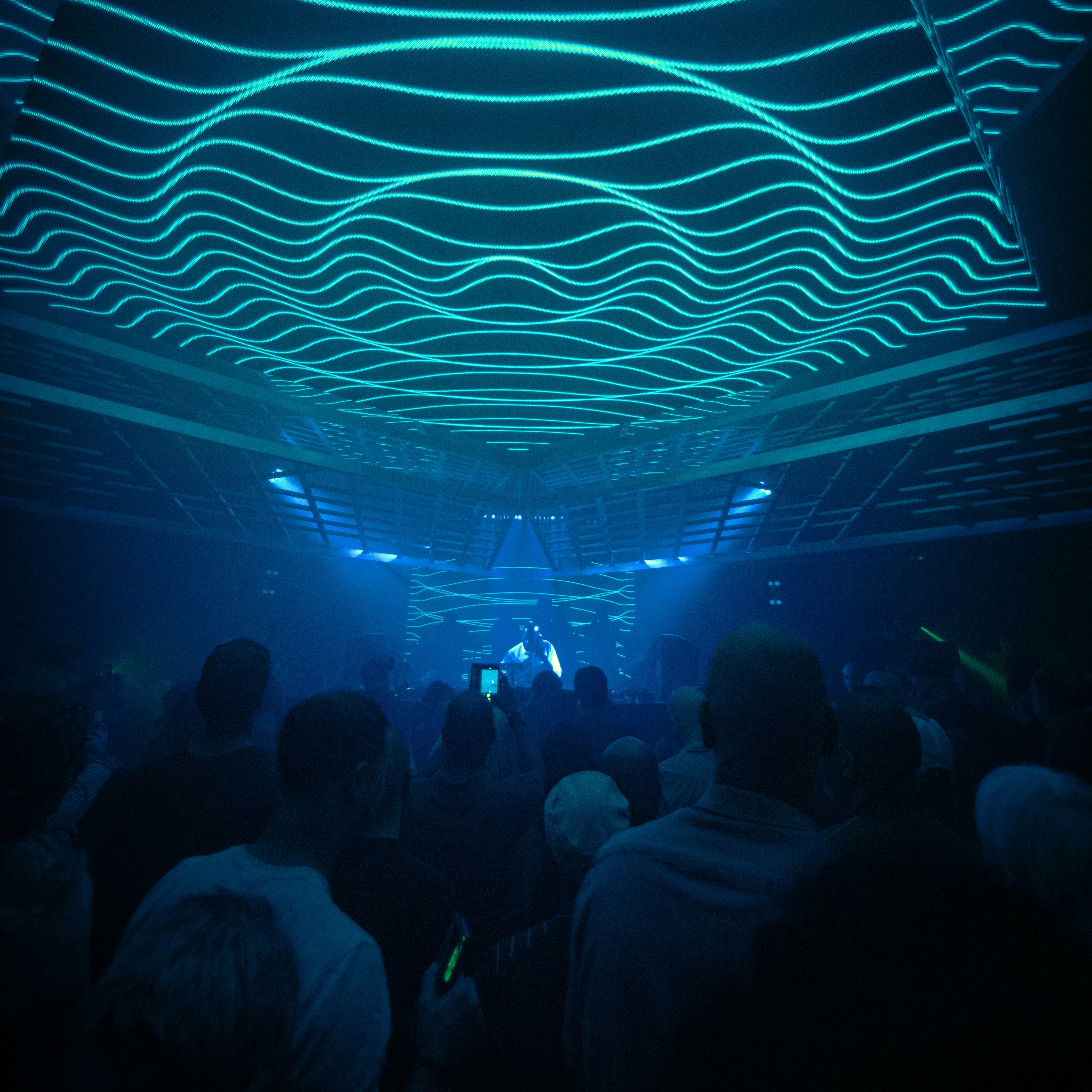 BLINK: ZERB, ROLIPSO, MIDDLTN, OPUS