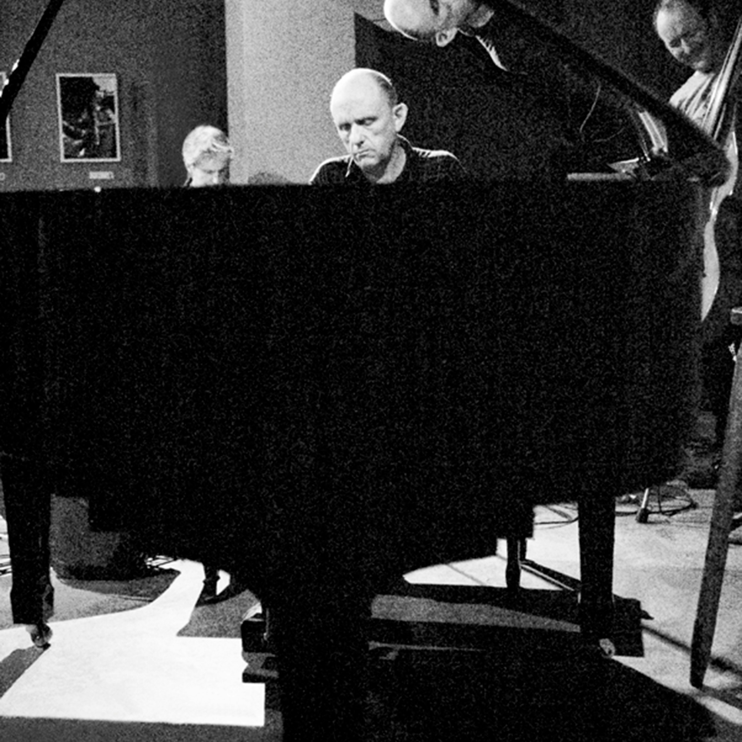 The Necks 