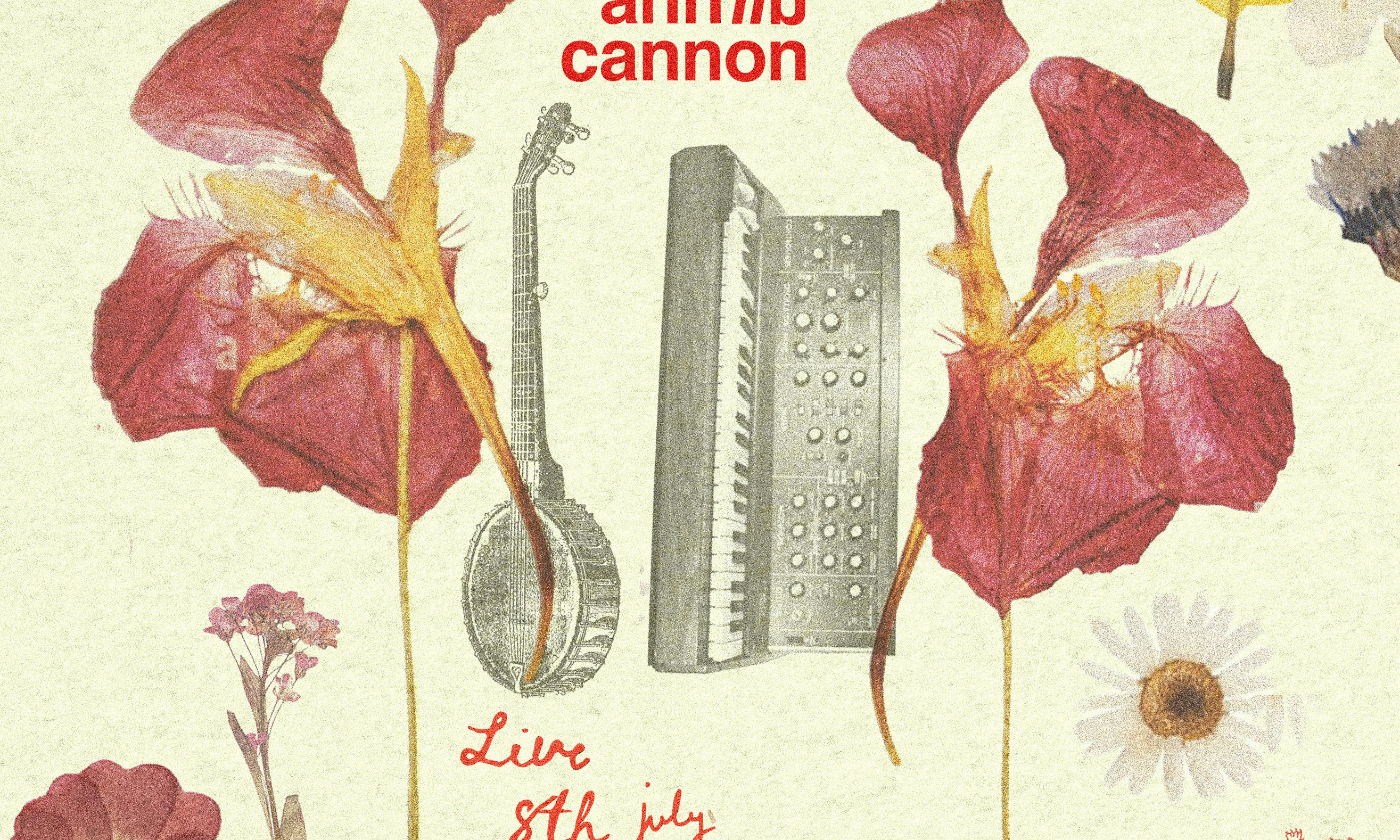 Ann Liu Cannon + Special guests
