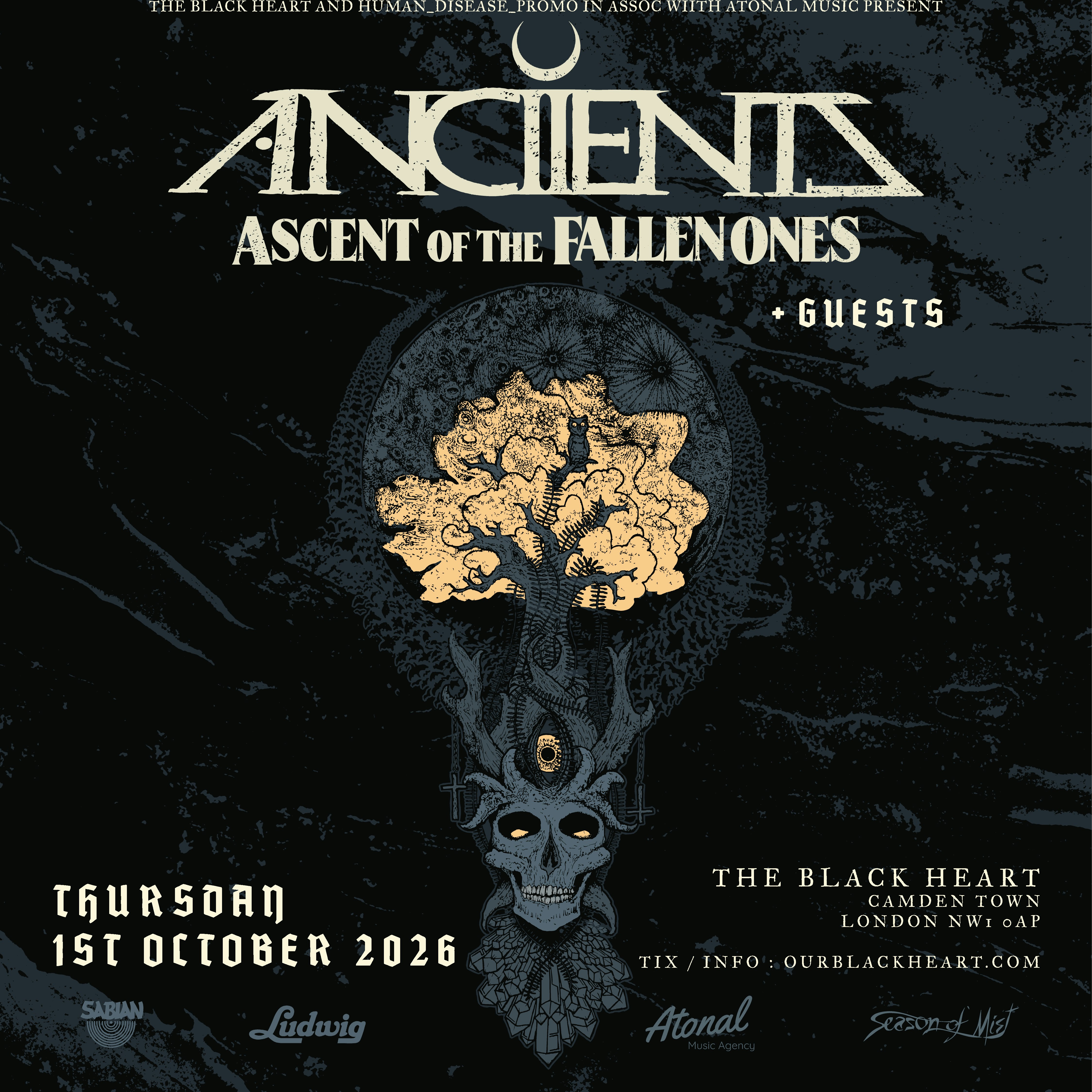 Anciients