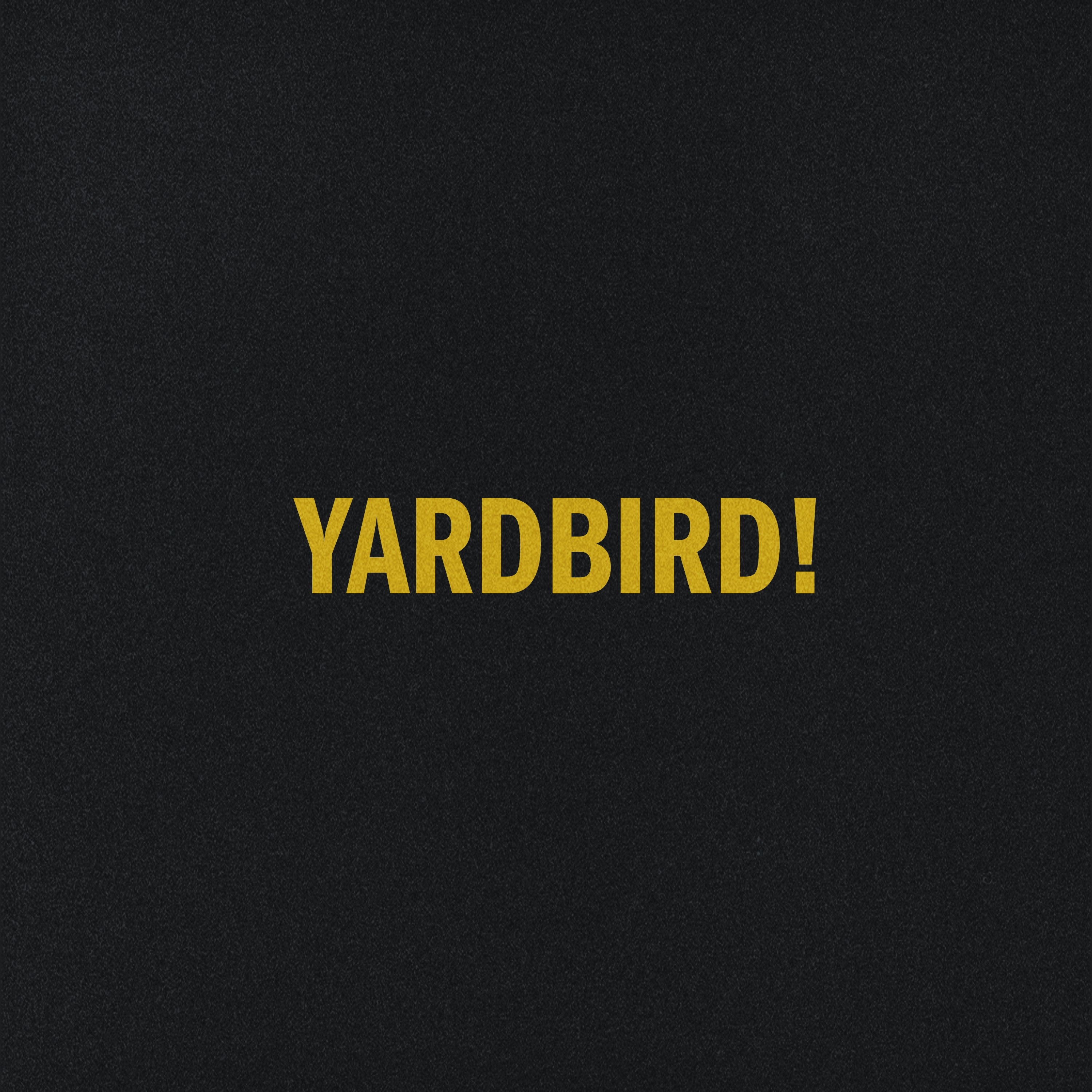 Yardbird! ft. lvdf at Kings Road Yard (Cardiff), Cardiff