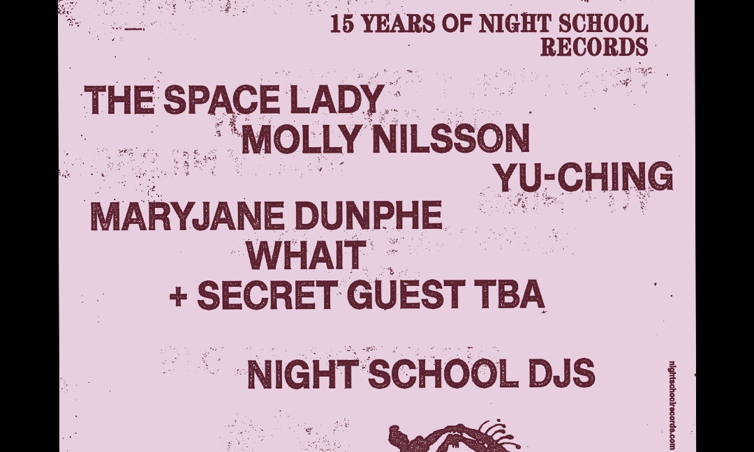 NIGHT - 15 Years of Night School Records