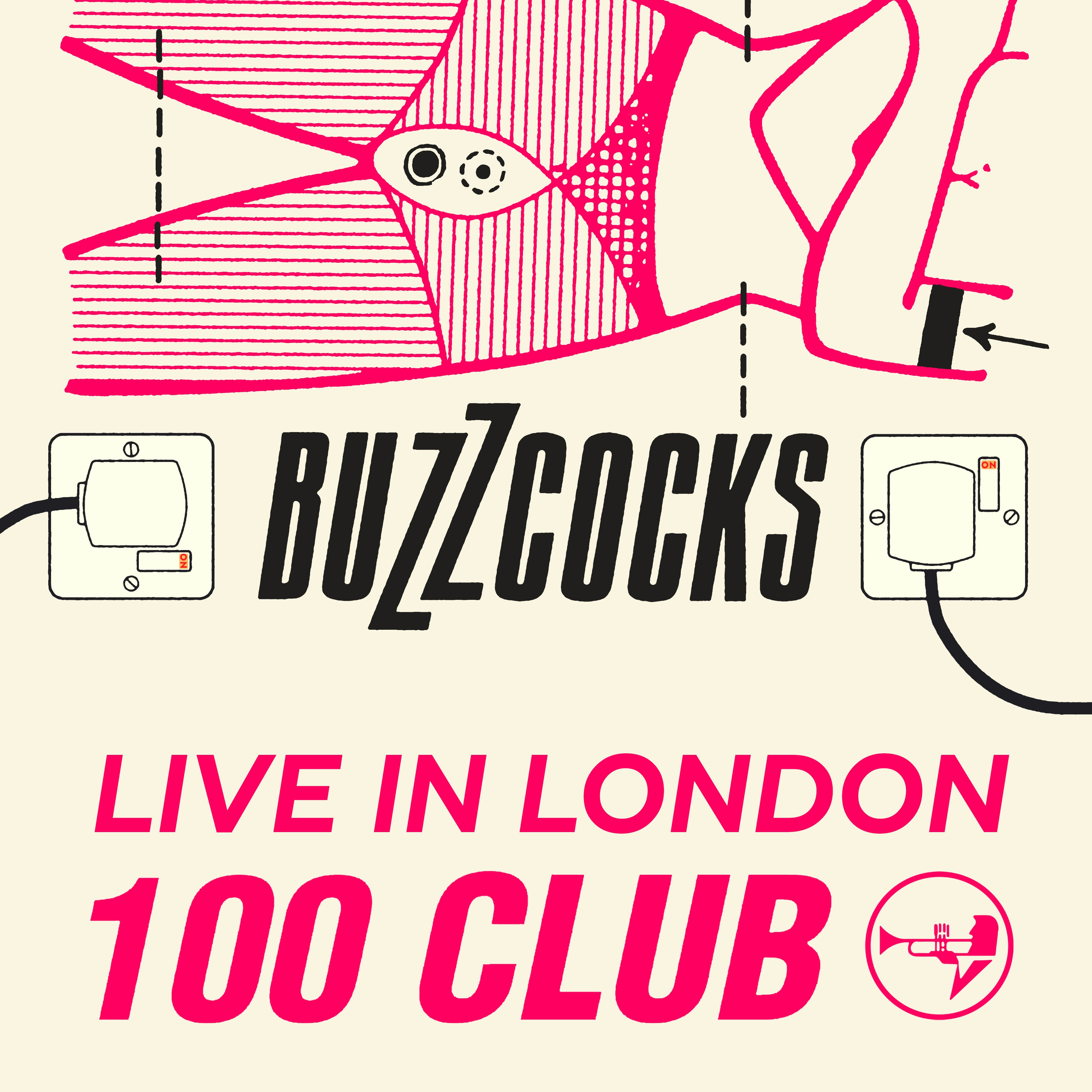Buzzcocks + PlansForNigel