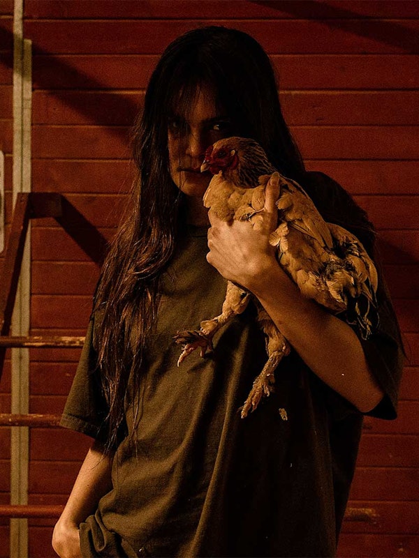 SOFIA ISELLA Live + Signing