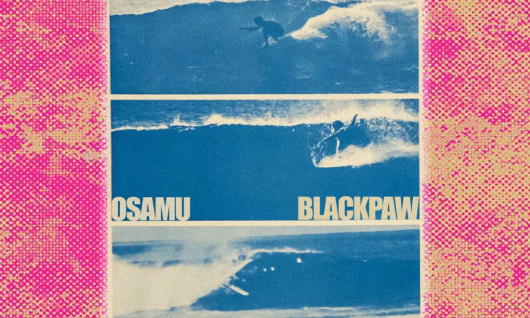 Paradise Vice w/ Osamu & Blackpaw at Townhouse Venice