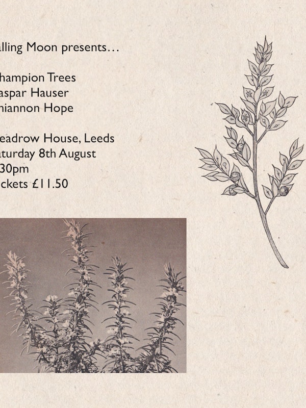 Champion Trees / Kaspar Hauser / Rhiannon Hope
