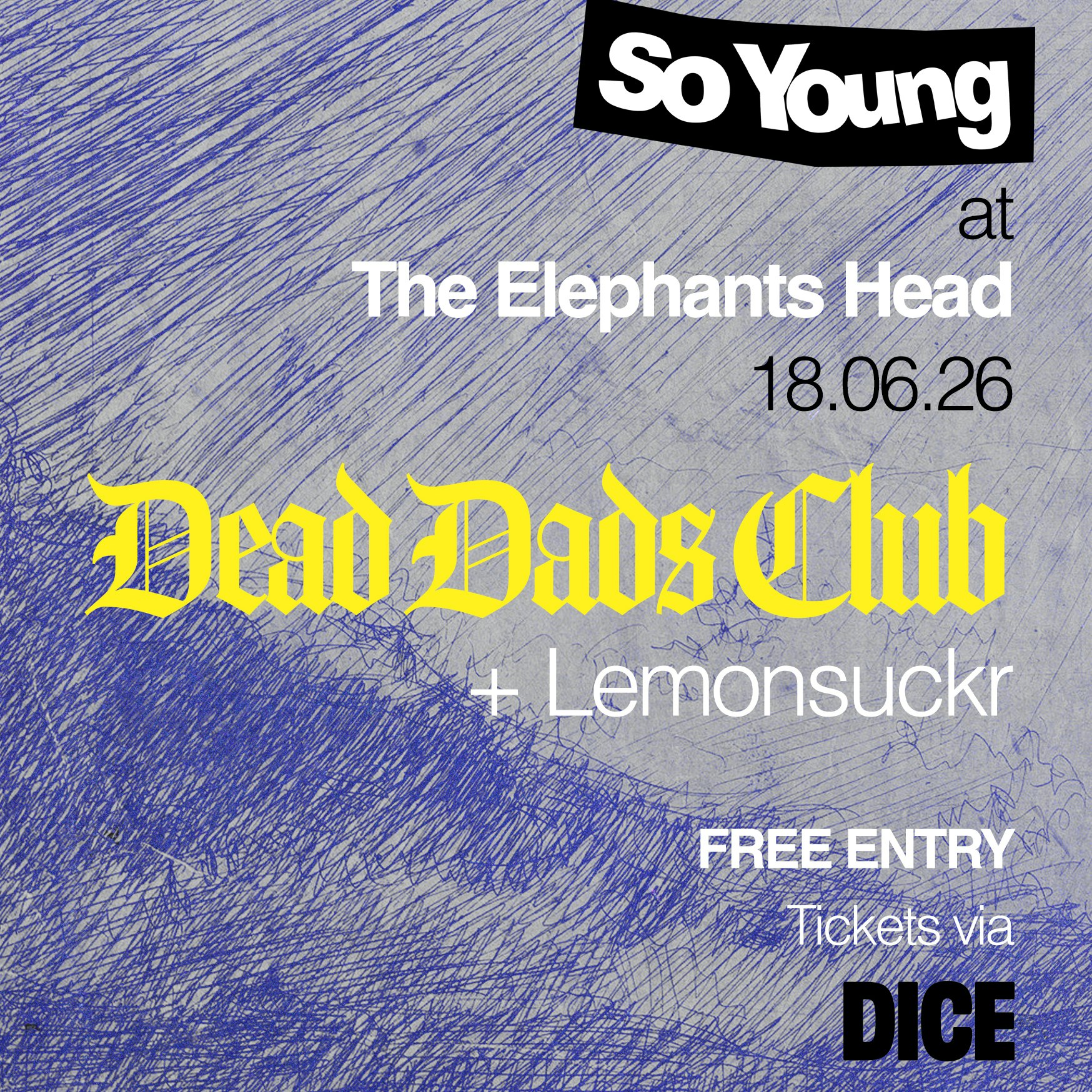 So Young at The Elephants Head: Dead Dads Club & Lemonsuckr