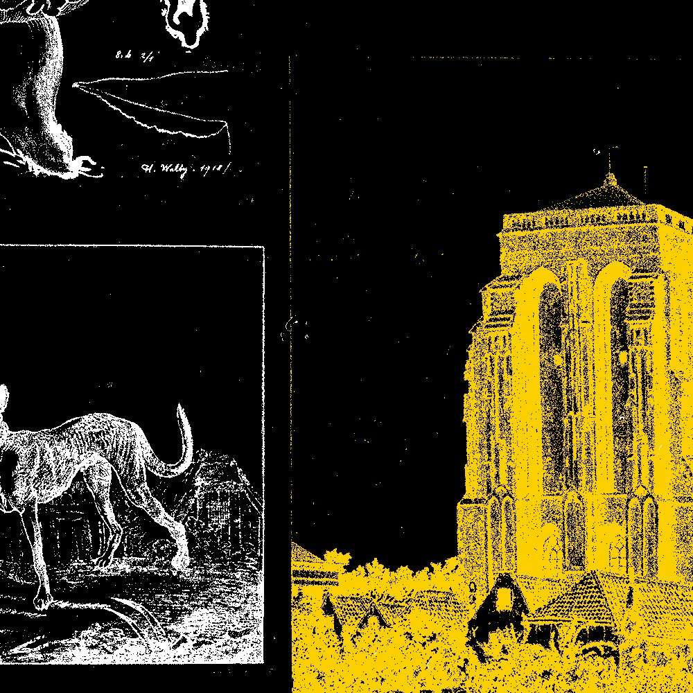 Christian Music / Tortured Devices + guests TBA