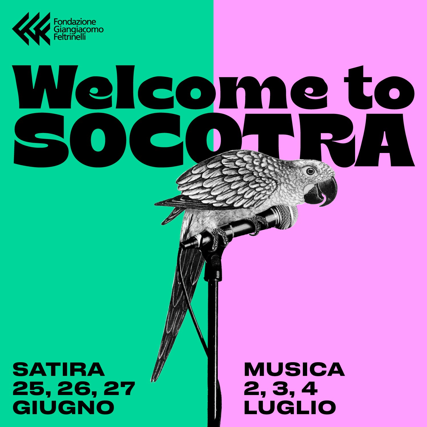 Welcome to Socotra 2026 | Voci senza filtro / Titoli di testa