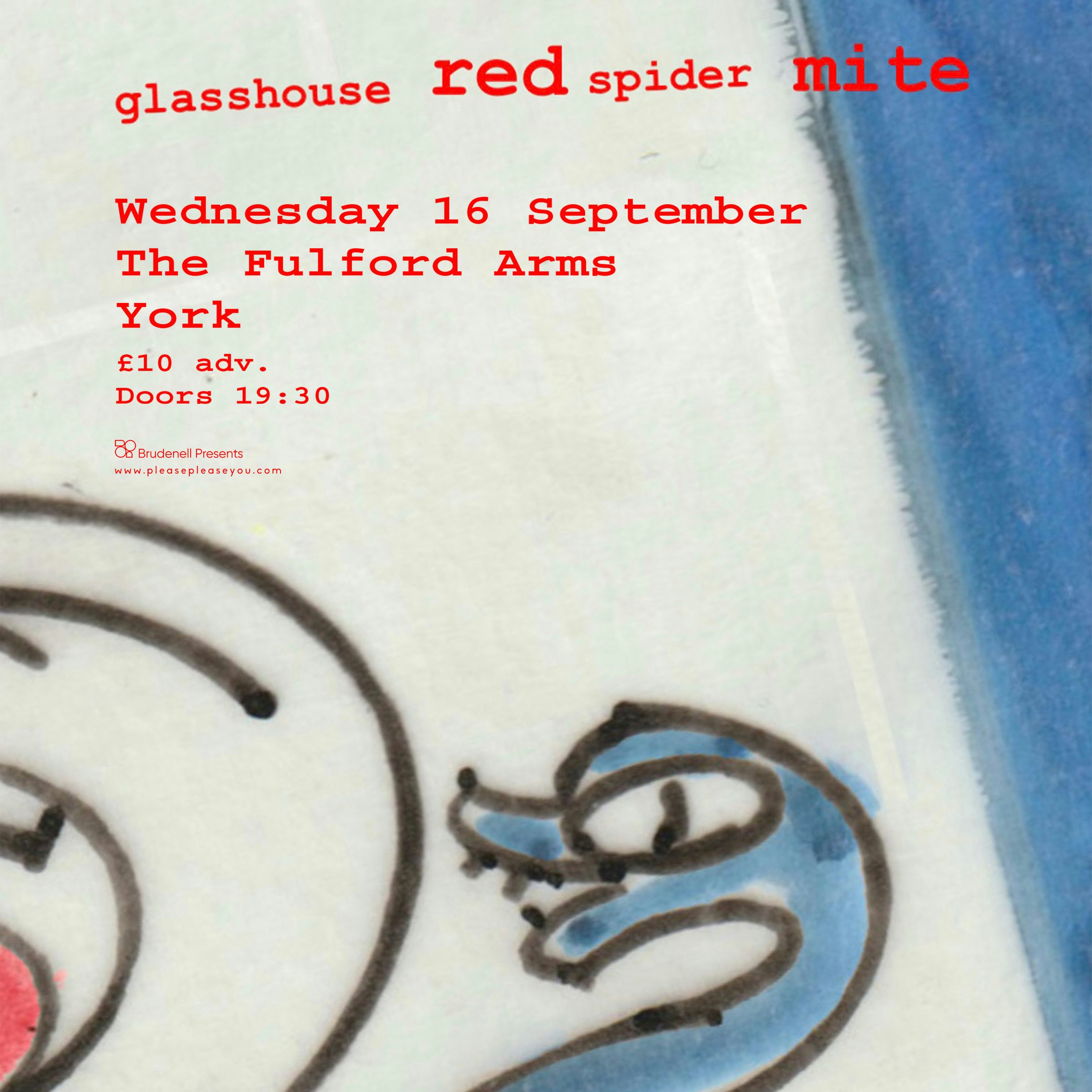 Glasshouse Red Spider Mite
