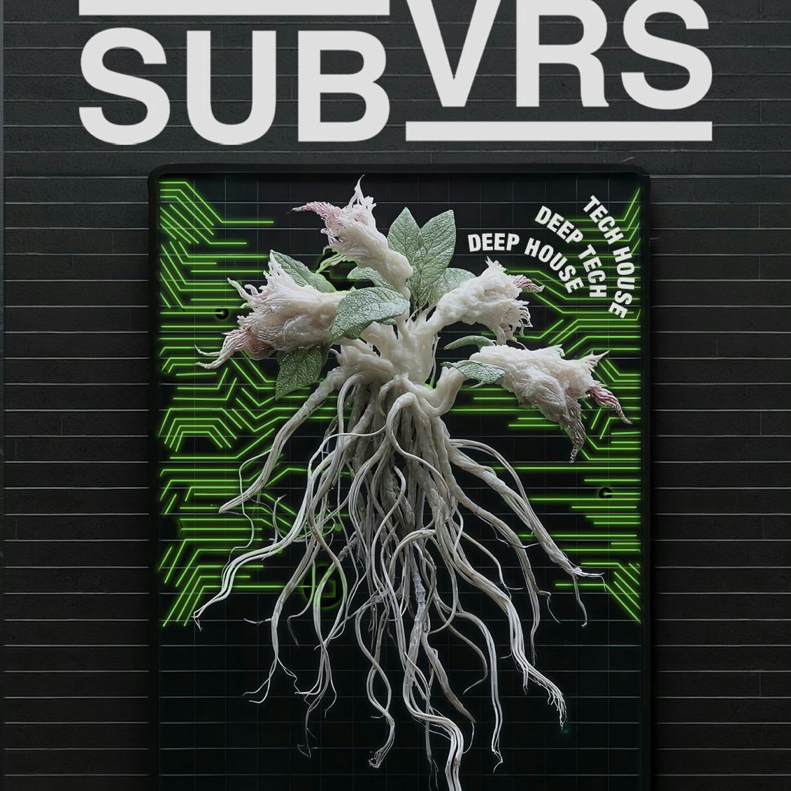 Subvrs / House, Tech House Deep Tech / Free Party