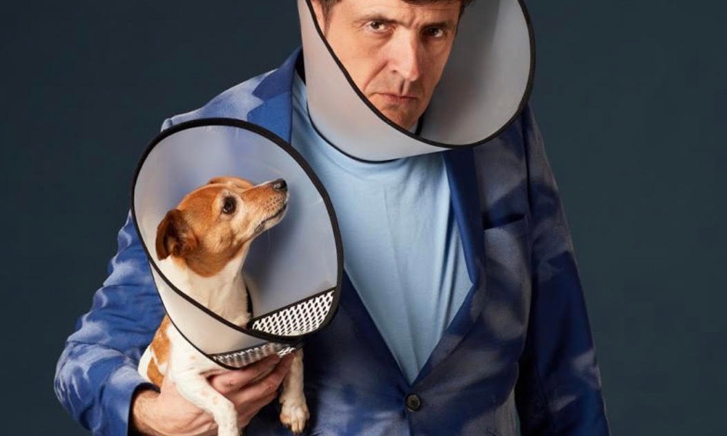 Spencer Jones: Dogs