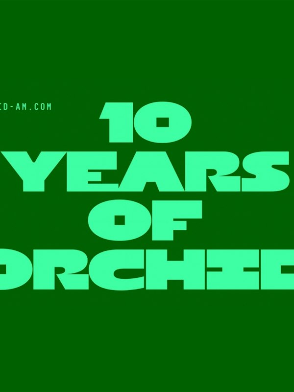 Halloween: 10 Years of Orchid