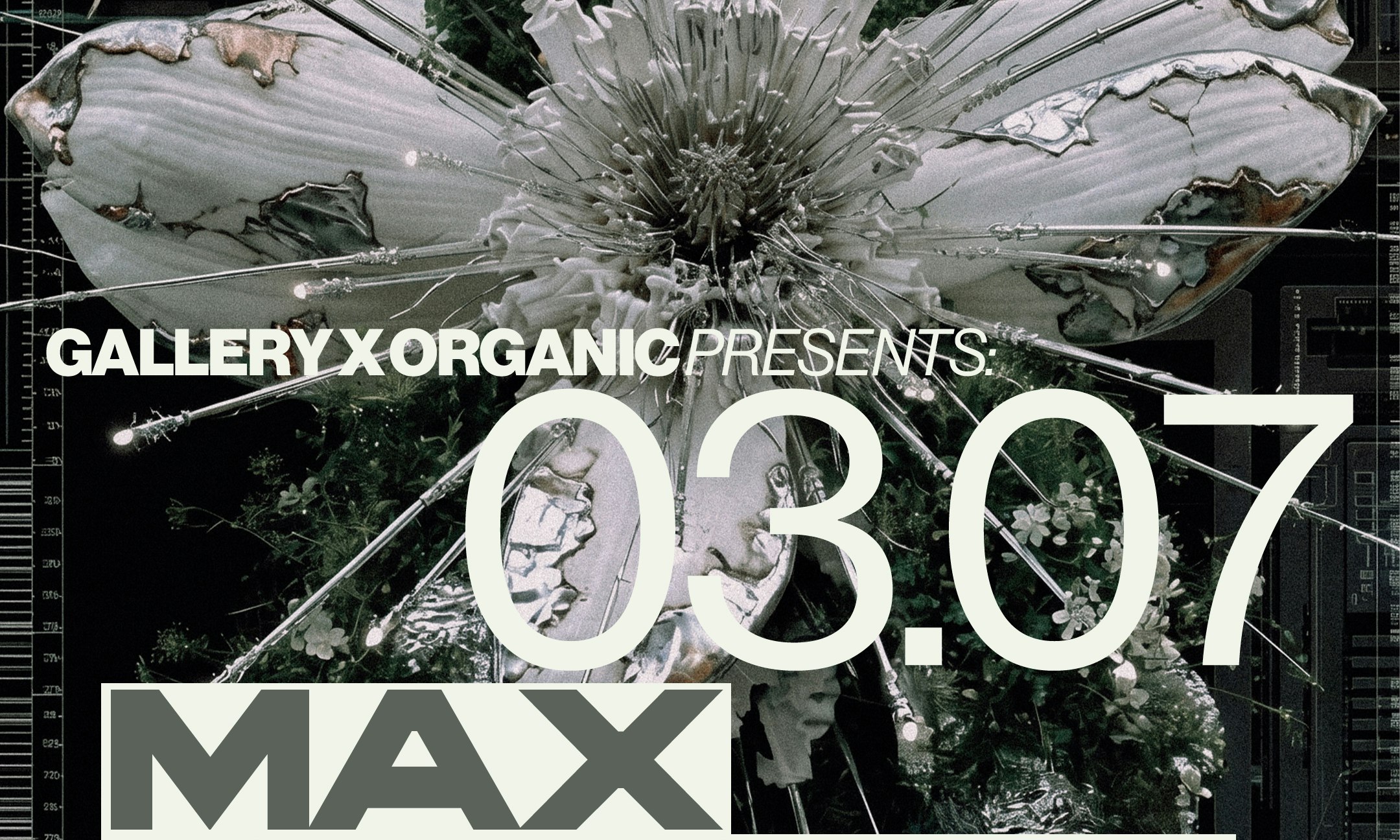Gallery x Organic presents: Max Styler
