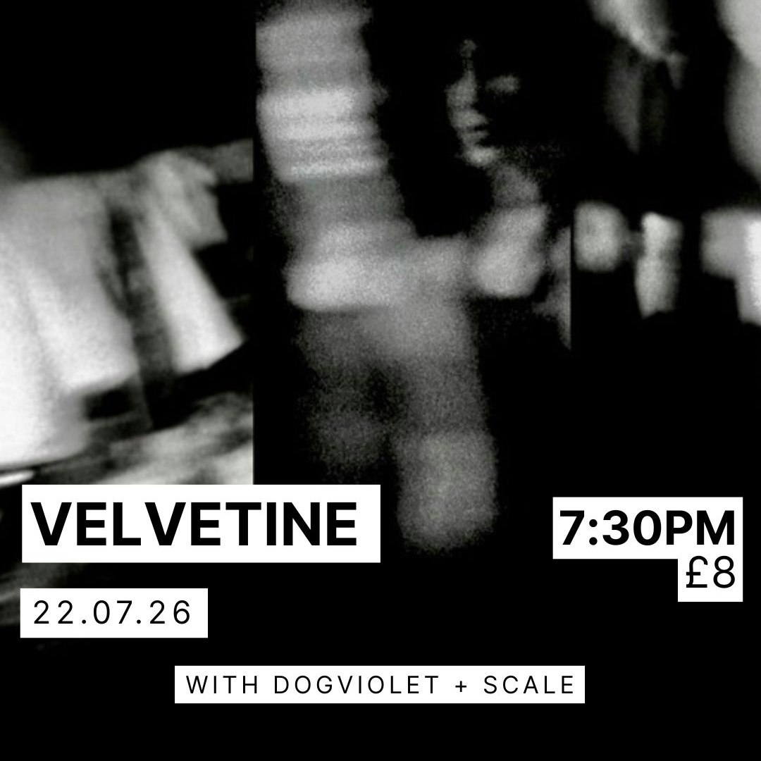 Velvetine + Dogviolet + Scale