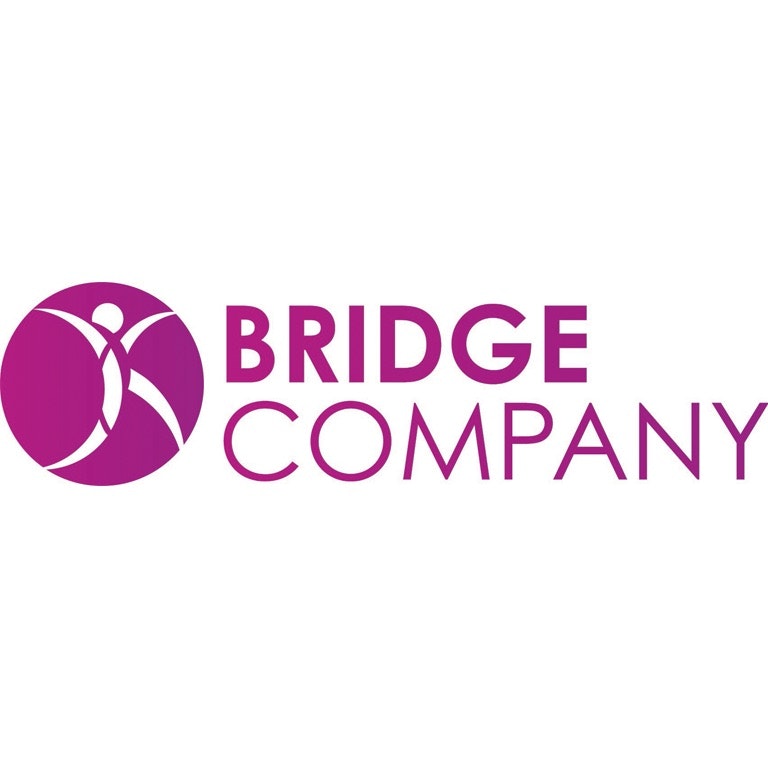 The Bridge Shows