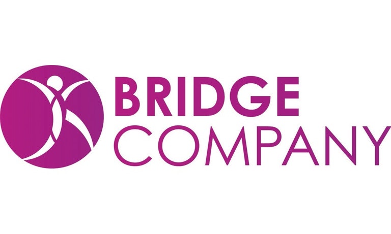 The Bridge Shows