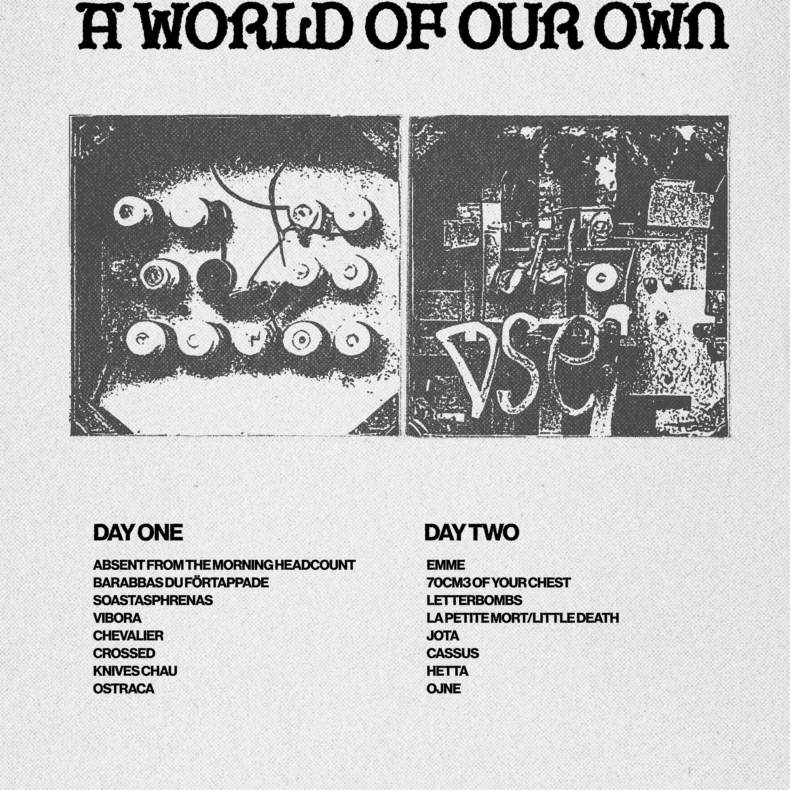 A World Of Our Own Festival