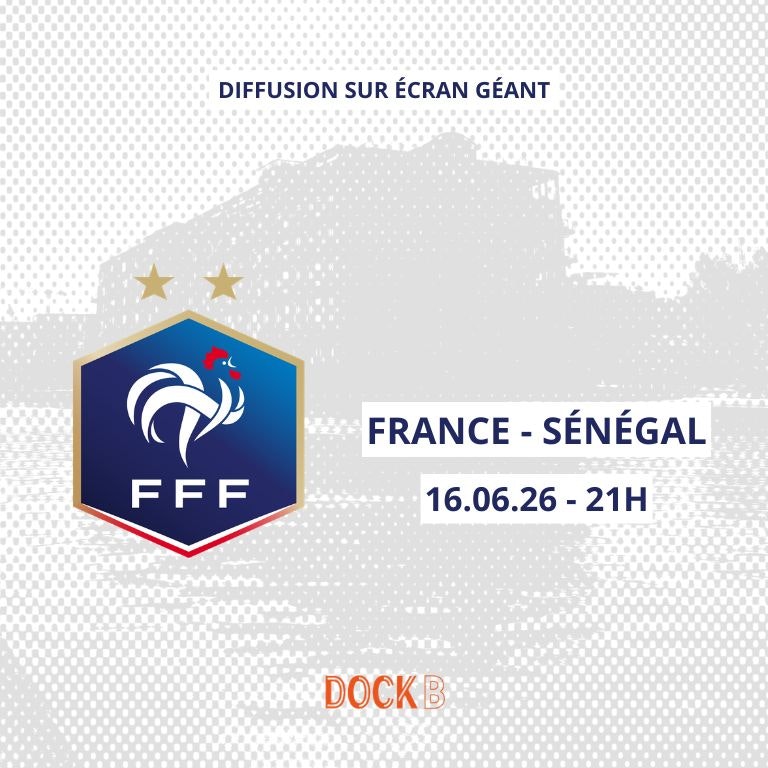 France - Sénégal : Diffusion du match