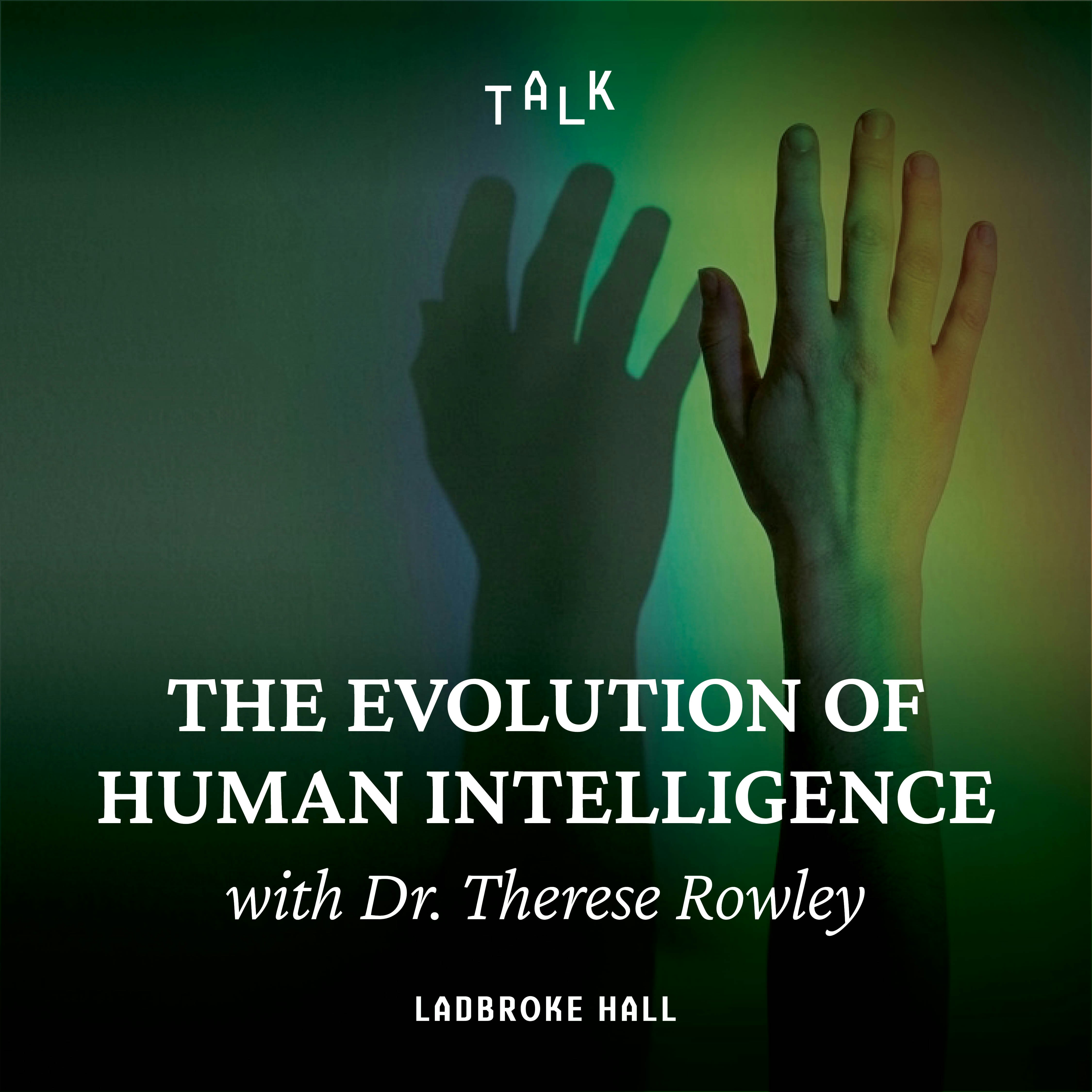 Wonder Children & Human Intelligence Evolution