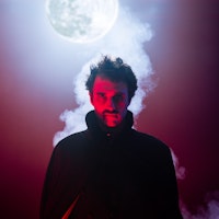 Steffen Haanes: The Master (Work in Progress)