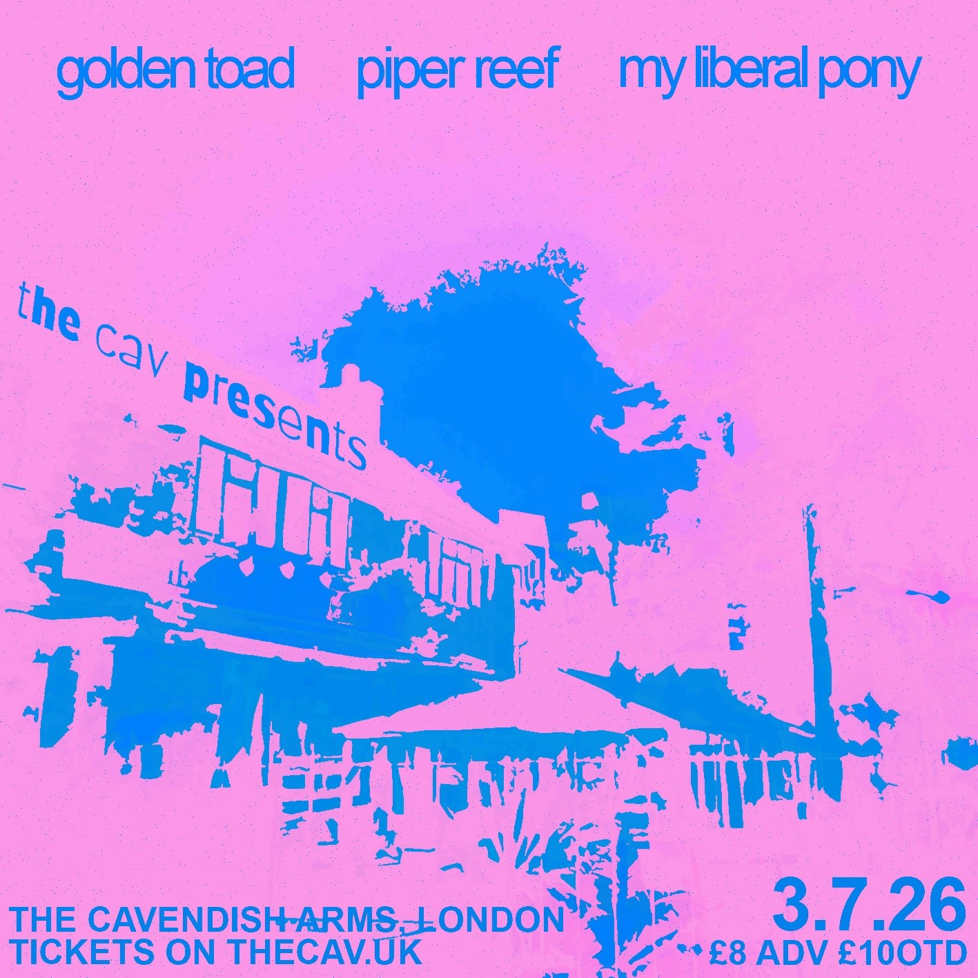 Golden Toad, Piper Reef, My Liberal Pony