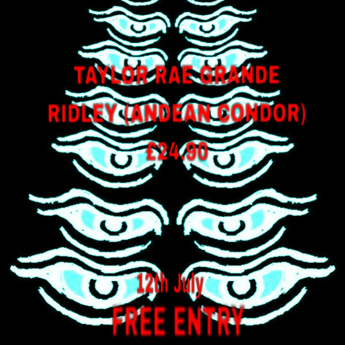 Taylor rae grande / Ridley (Andean Condor) / £24.90