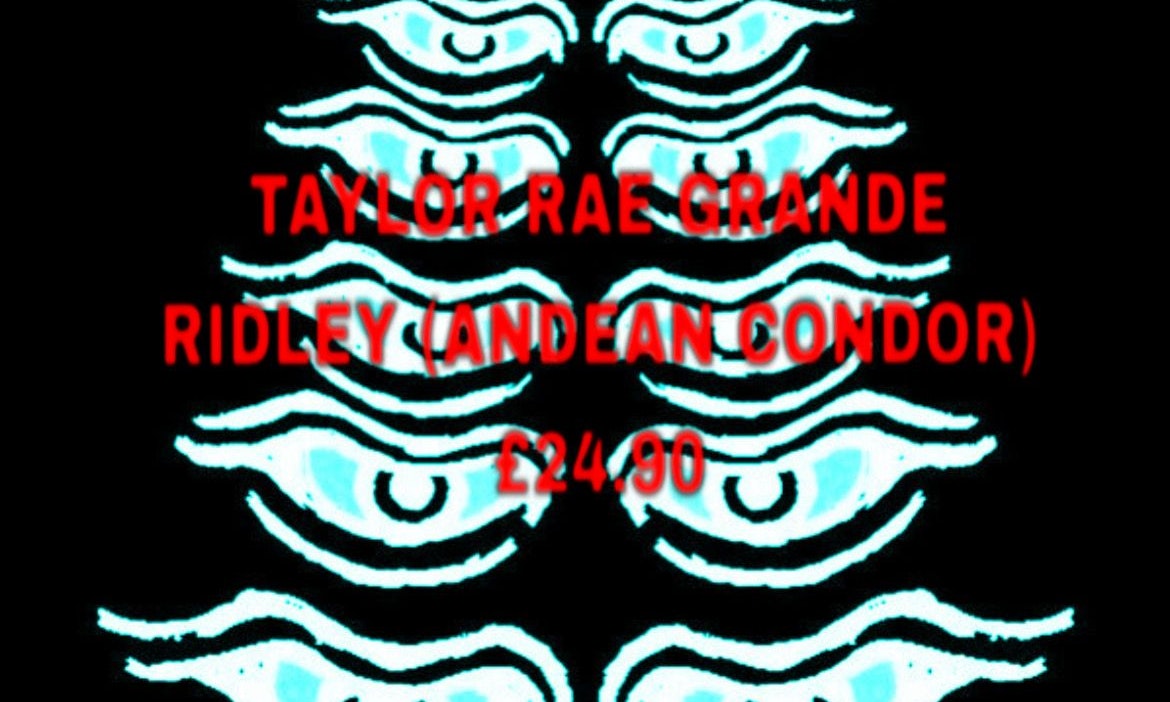 Taylor rae grande / Ridley (Andean Condor) / £24.90