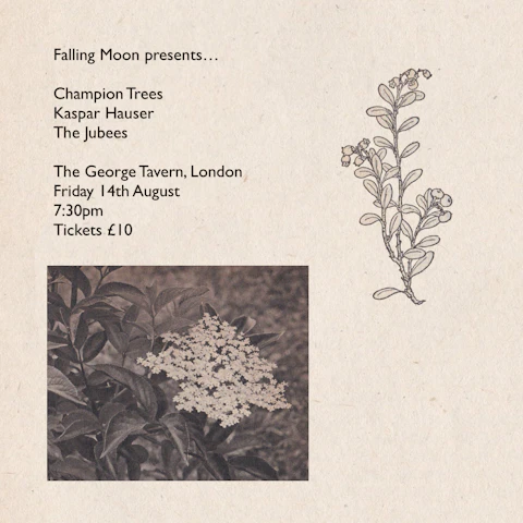 Champion Trees / Kaspar Hauser / The Jubees