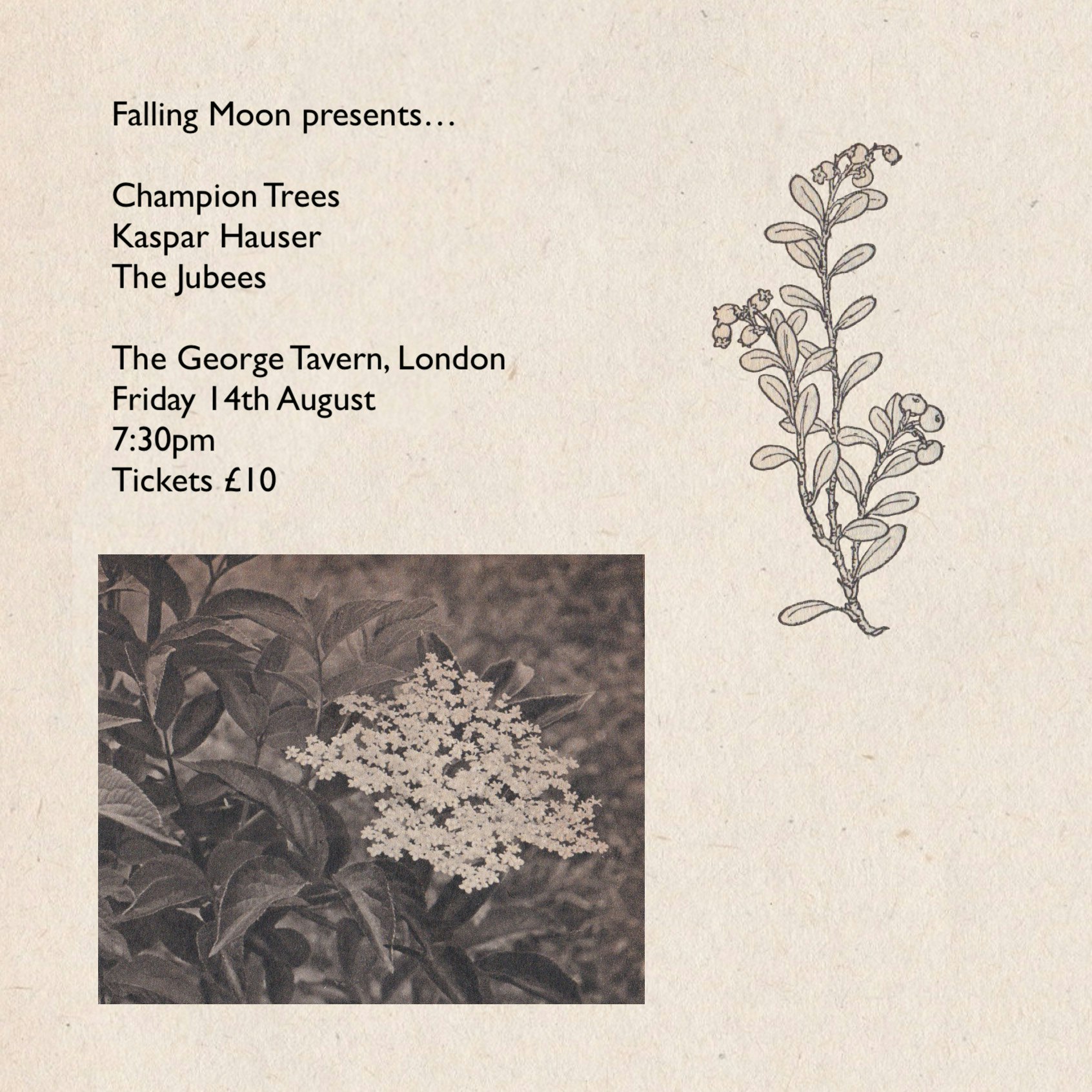 Champion Trees / Kaspar Hauser / The Jubees
