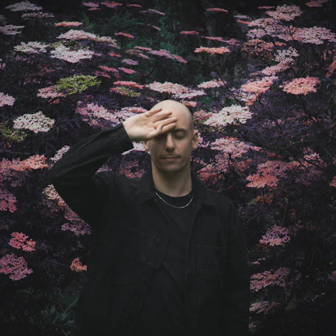 Cooking With Palms Trax: Day & Night